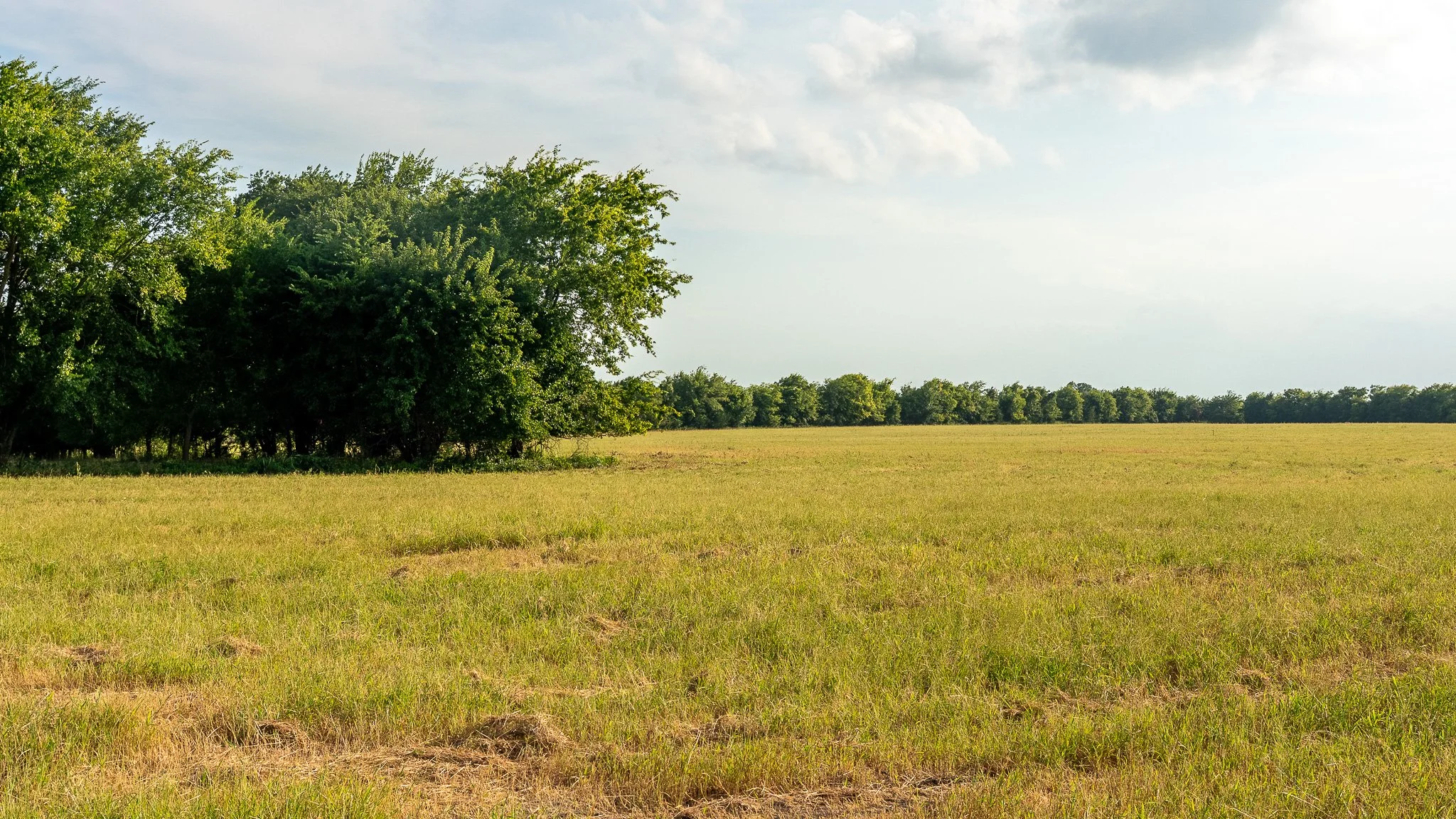 landscape-ground-summerdale--10.jpg