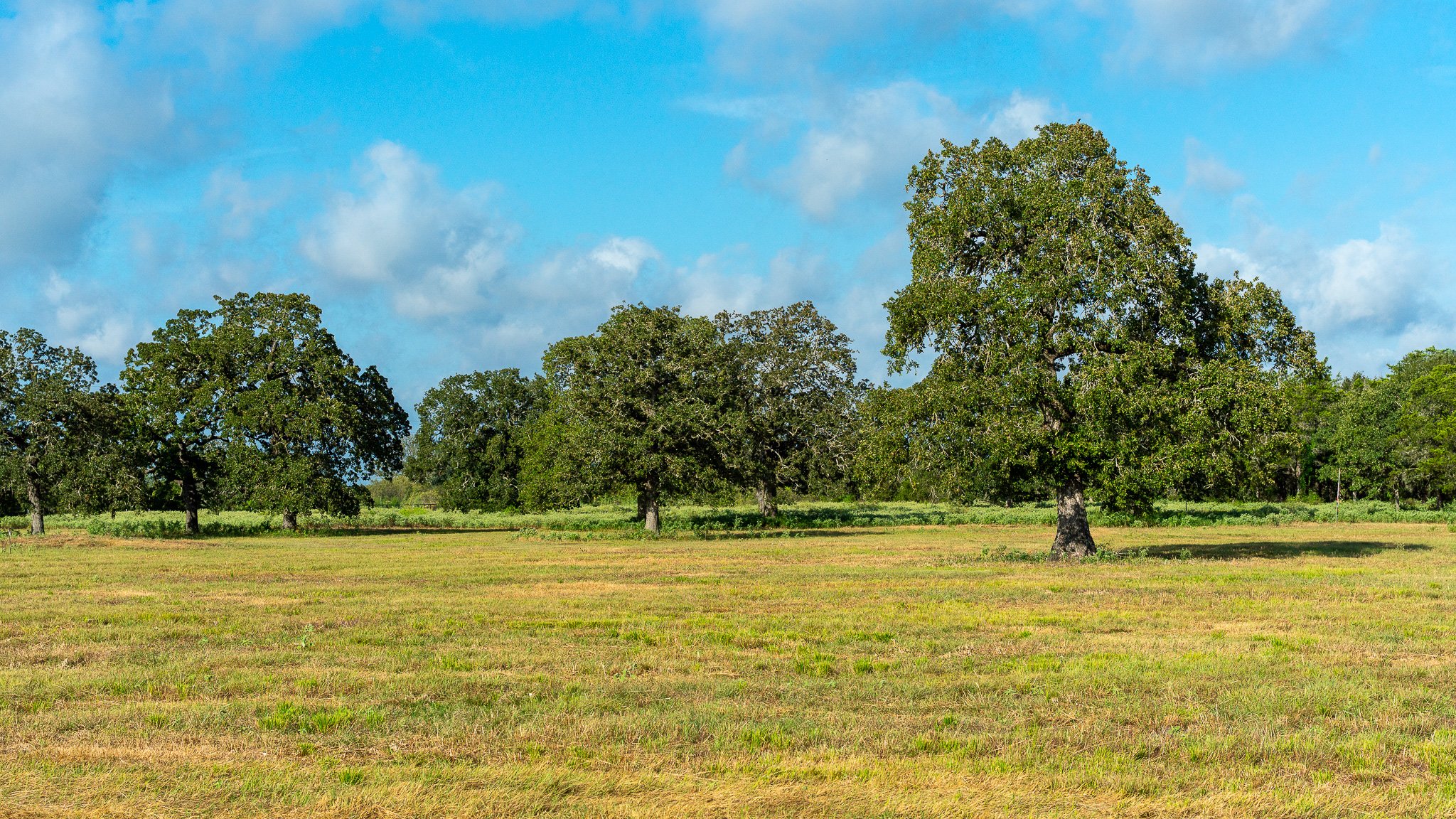 landscape-smithville-2.jpg
