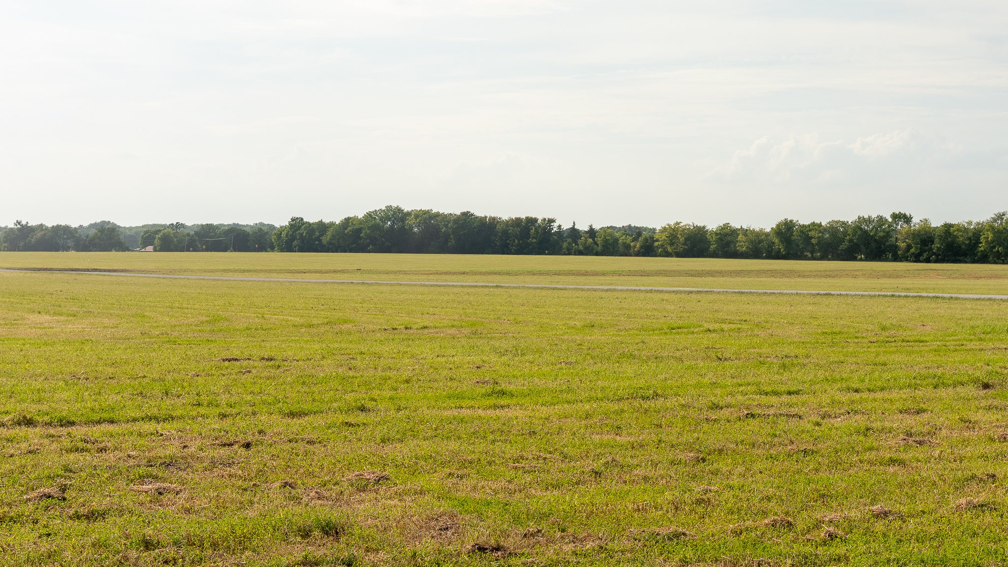 landscape-ground-summerdale--2.jpg
