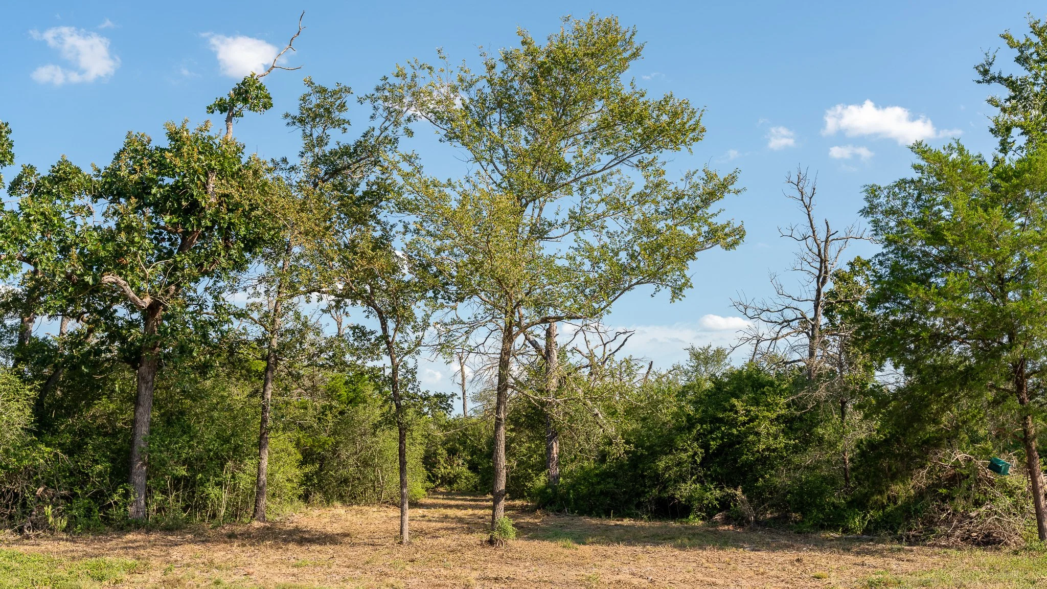 landscape-crestwood-68.jpg