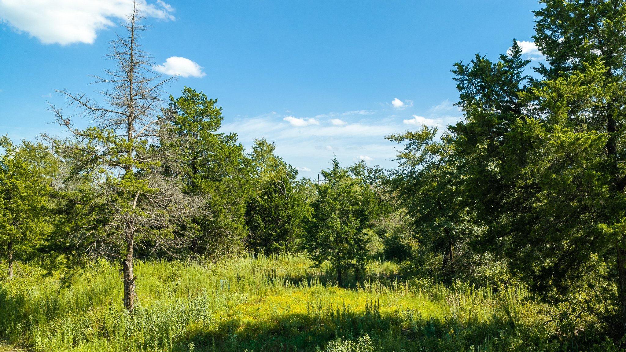 landscape-crestwood-12.jpg