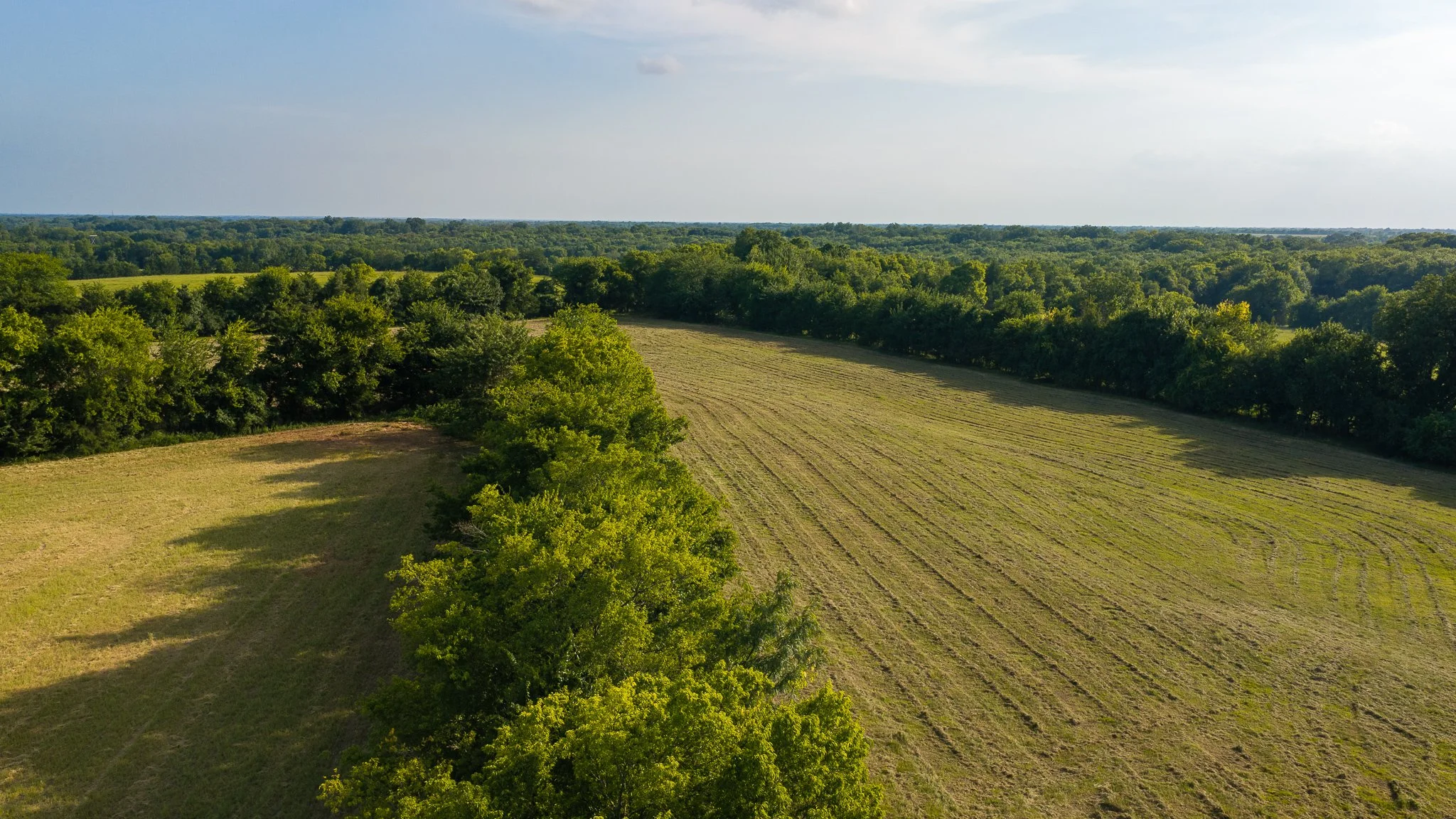 landscape-aerial-summerdale--39.jpg