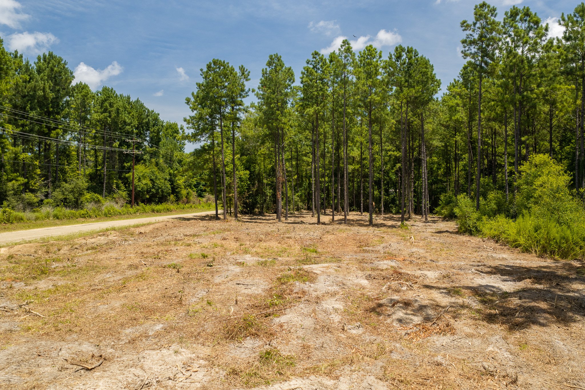 woodville-47.jpg