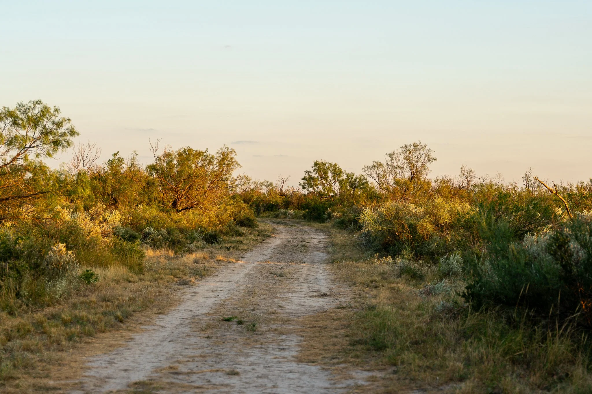 Blue_Rooster_Ranch-25.jpg