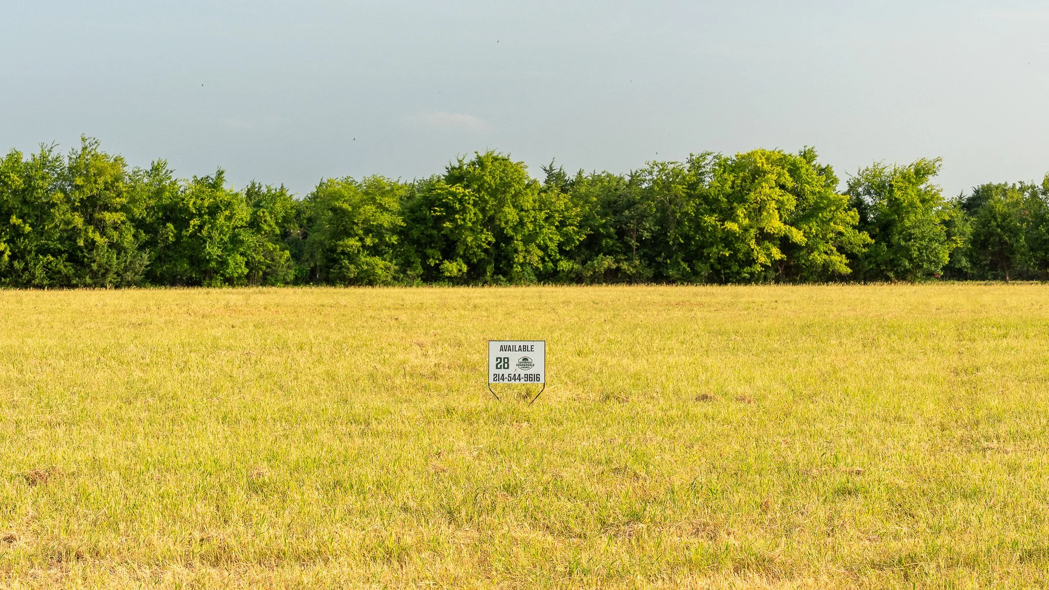 landscape-ground-summerdale-03067.jpg