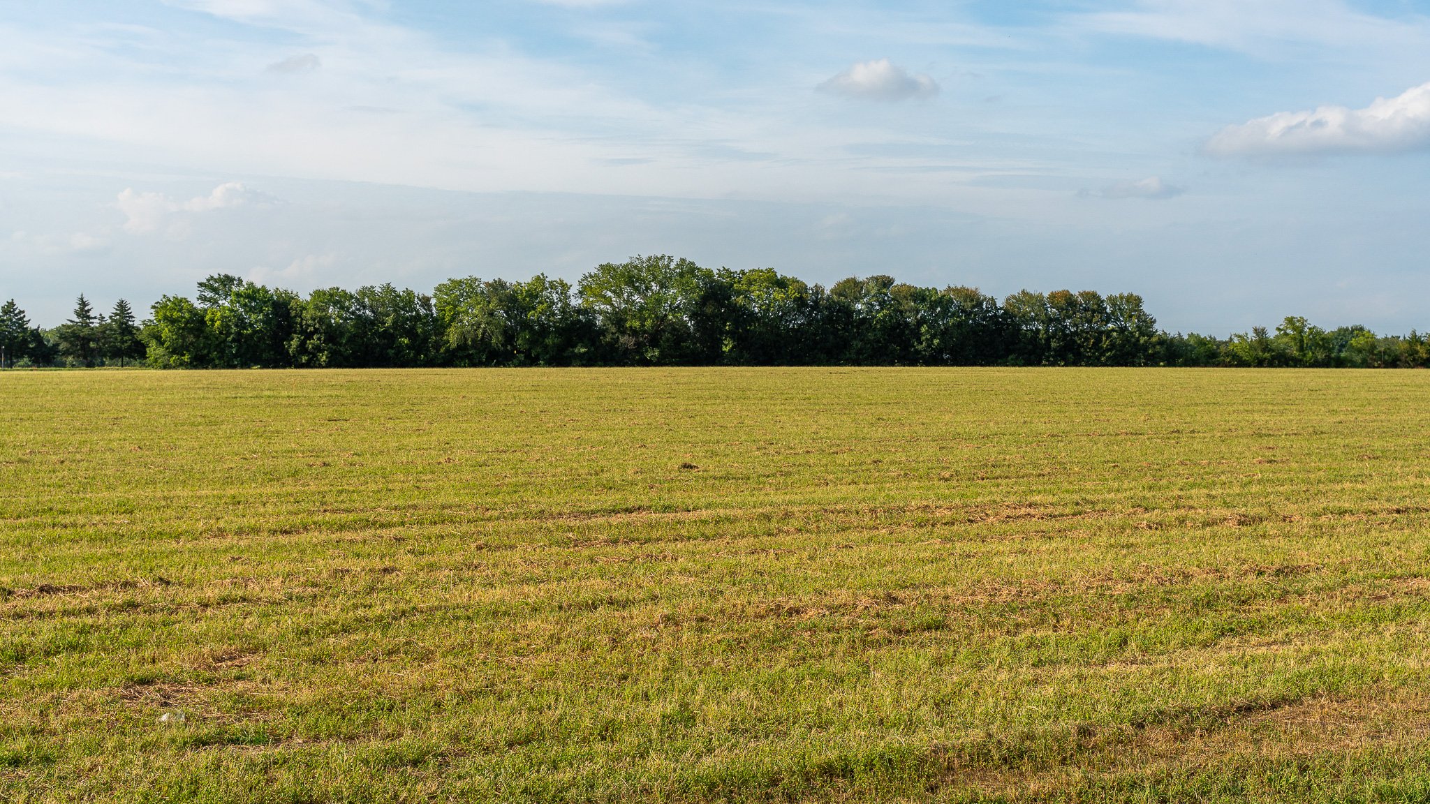 landscape-ground-summerdale-03010.jpg