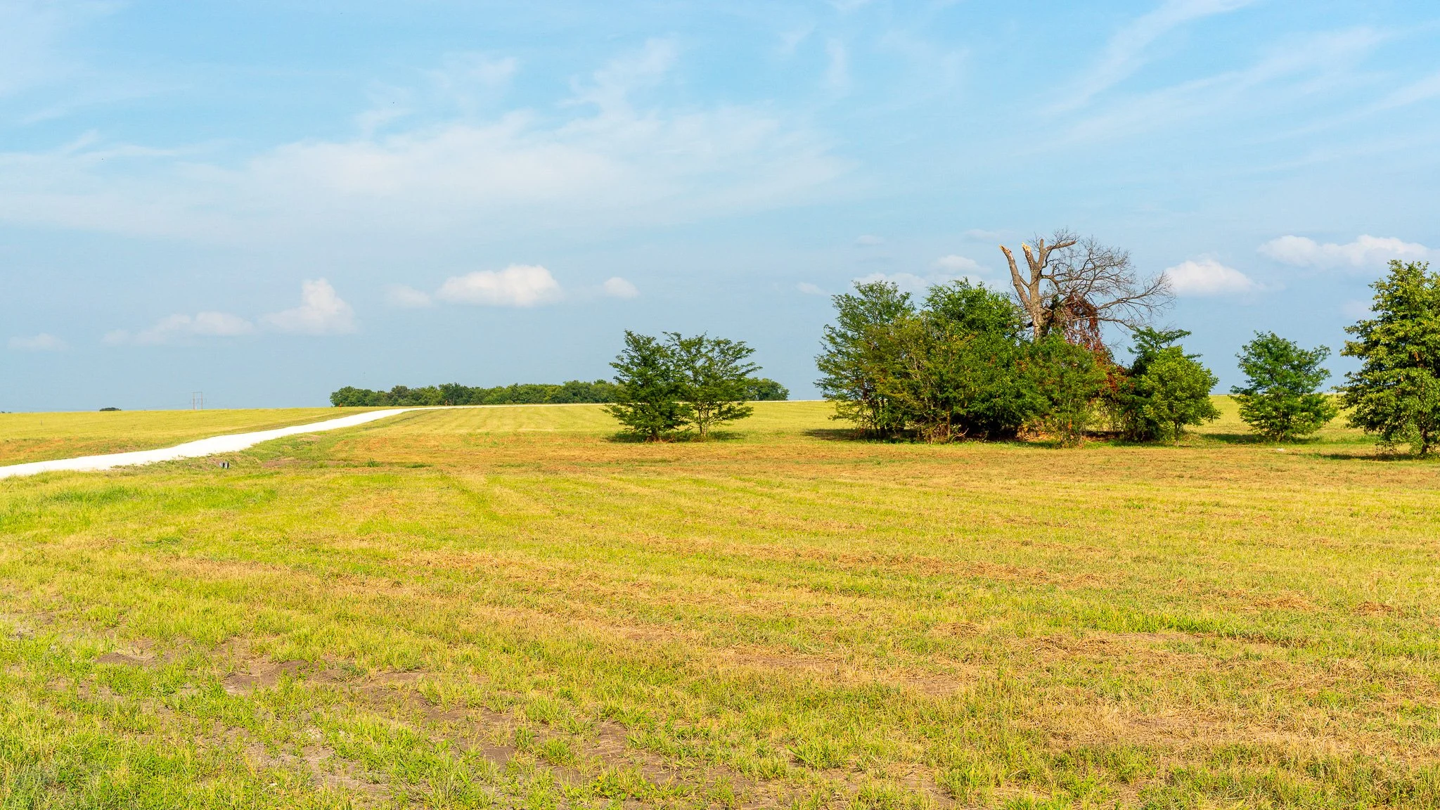 landscape-ground-summerdale-03013.jpg