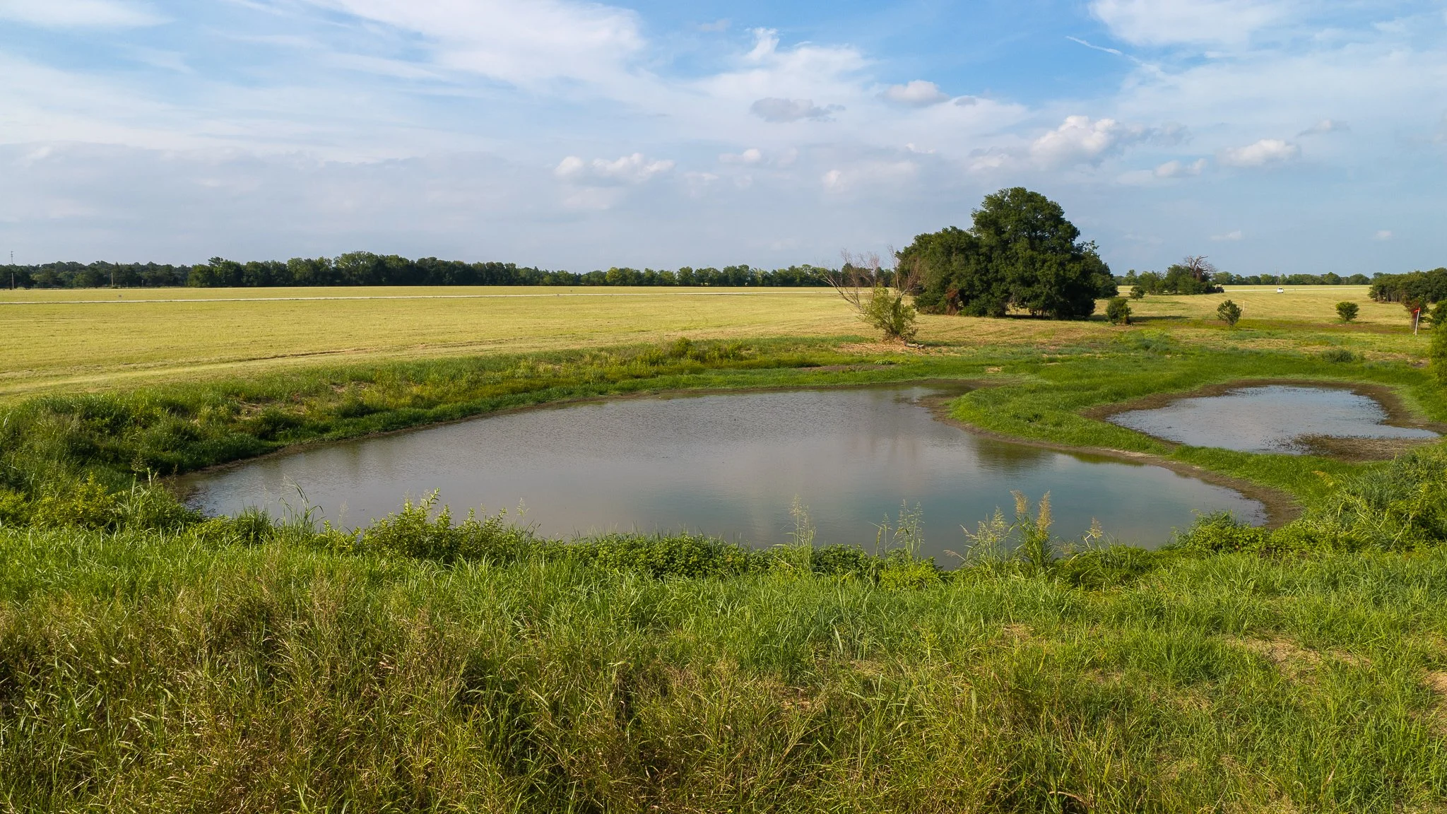 landscape-aerial-summerdale--7.jpg