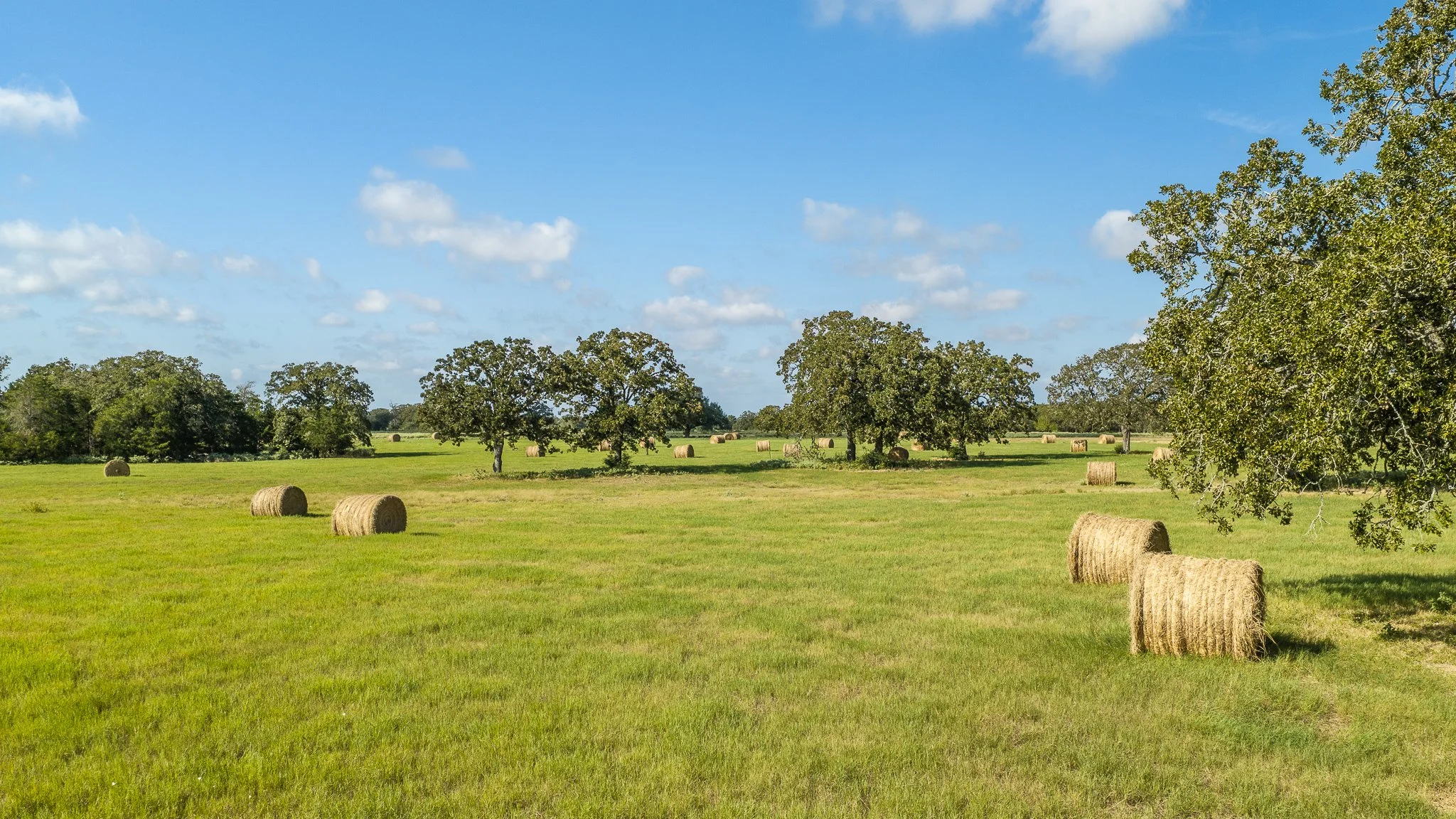 landscape-smithville-33.jpg