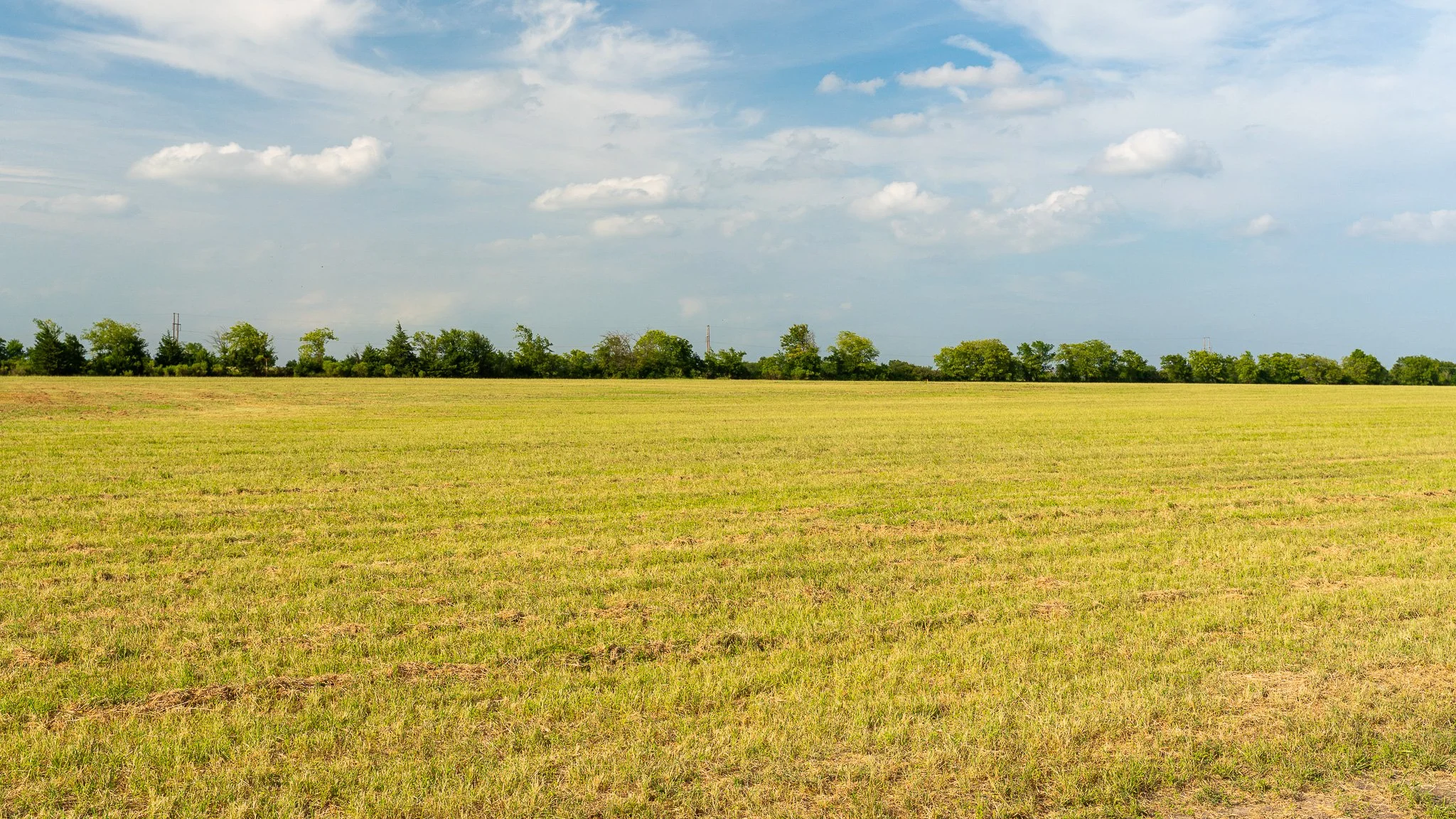 landscape-ground-summerdale-03017.jpg