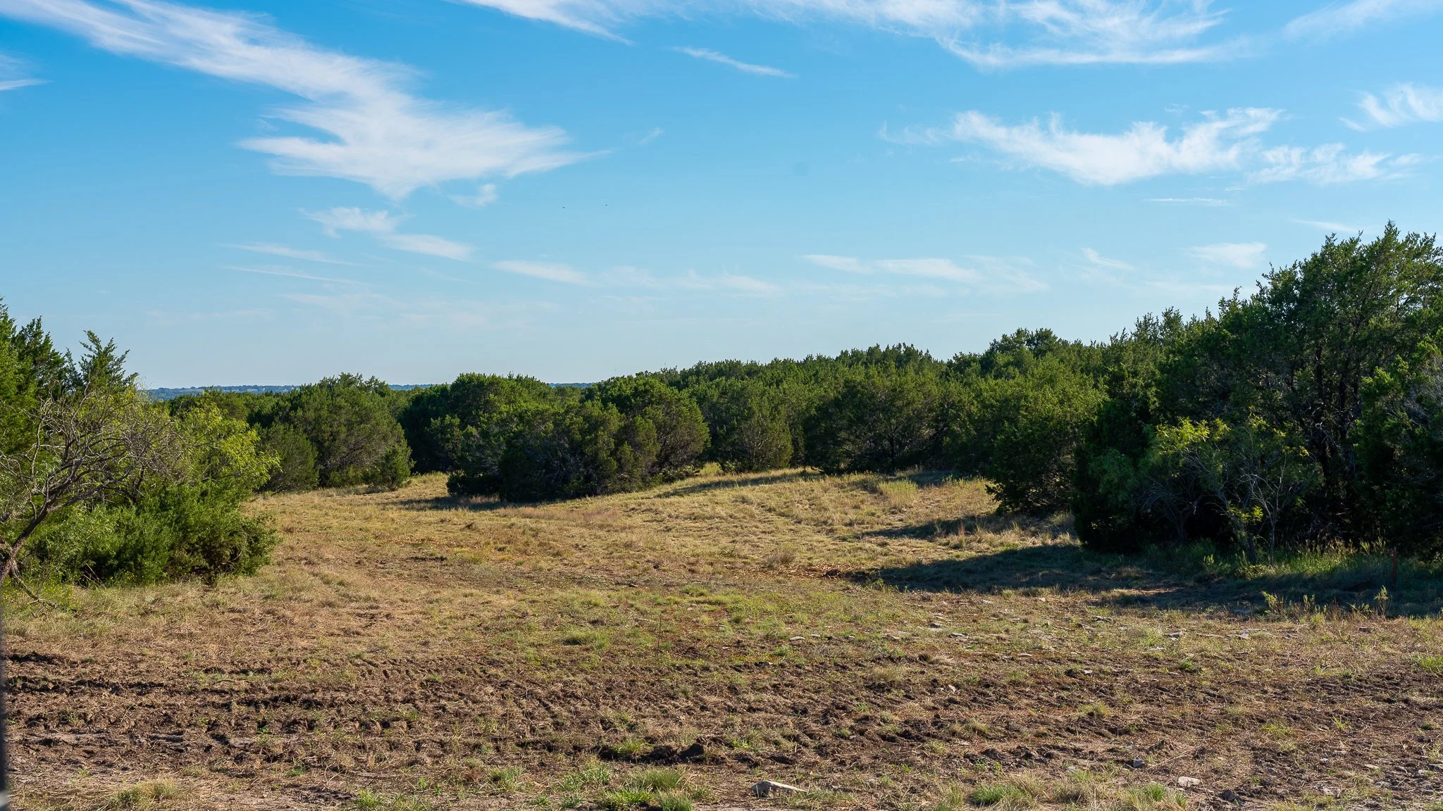 landscape-hamilton-2.jpg