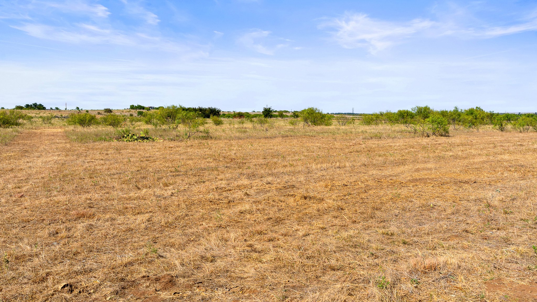 DSC09998-Landscape.jpg