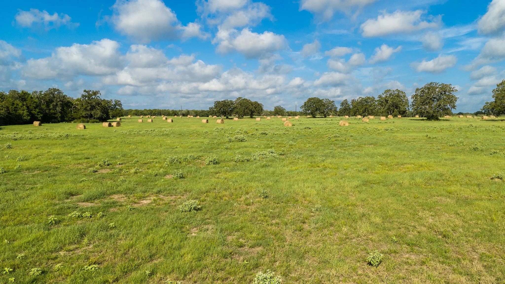 landscape-smithville-18.jpg