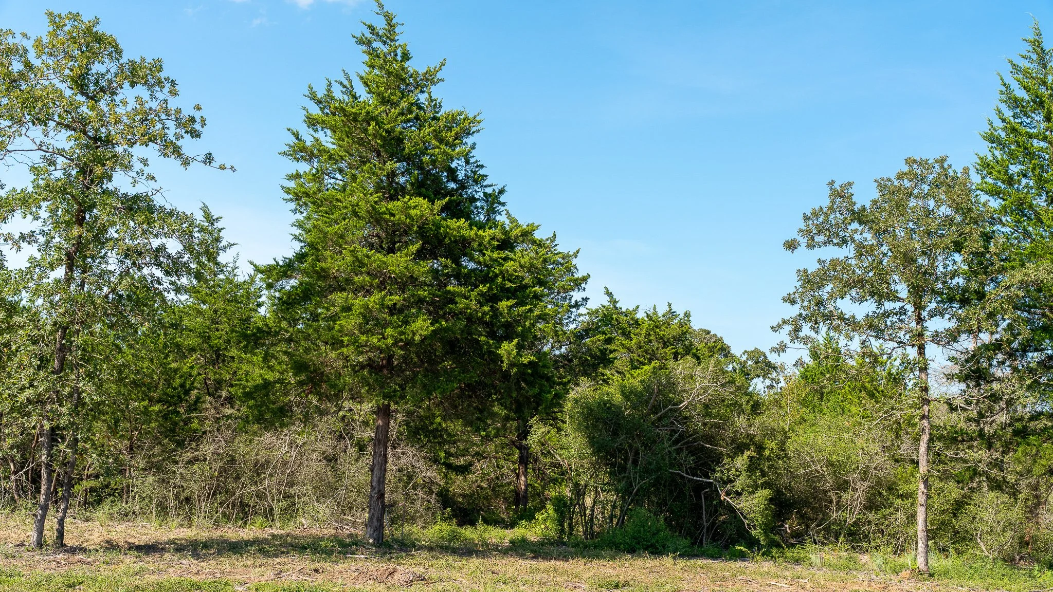landscape-crestwood-38.jpg