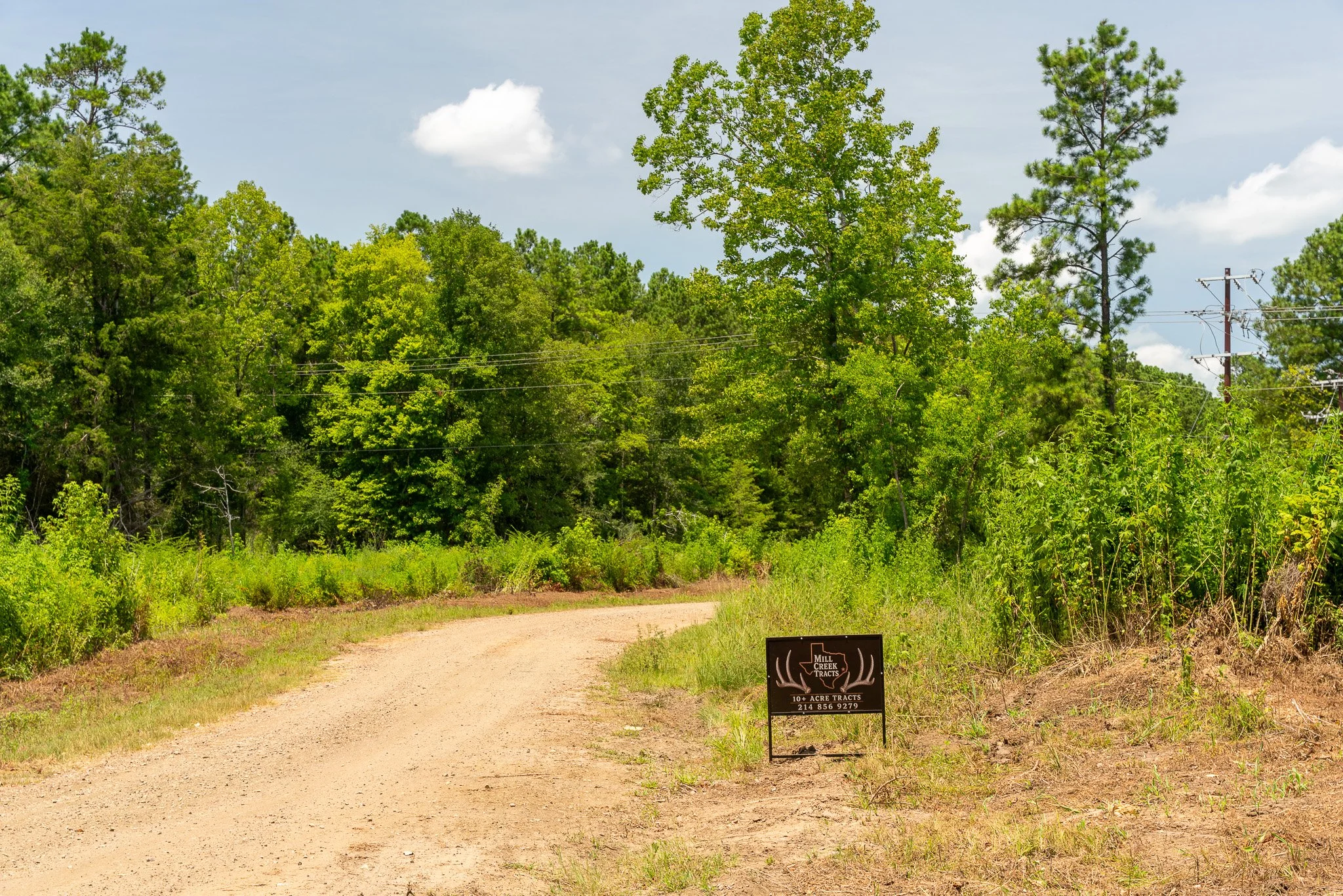 woodville-85.jpg