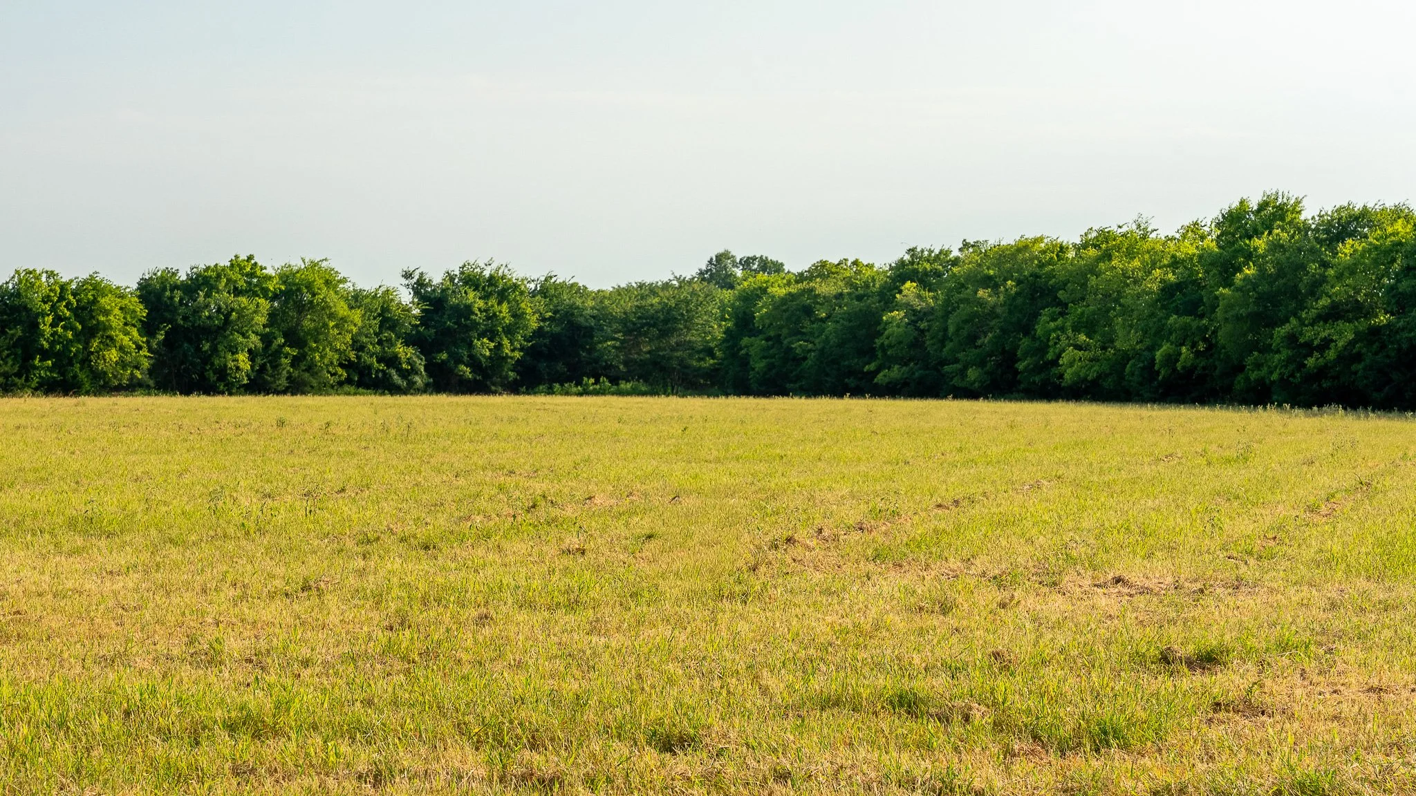 landscape-ground-summerdale--8.jpg
