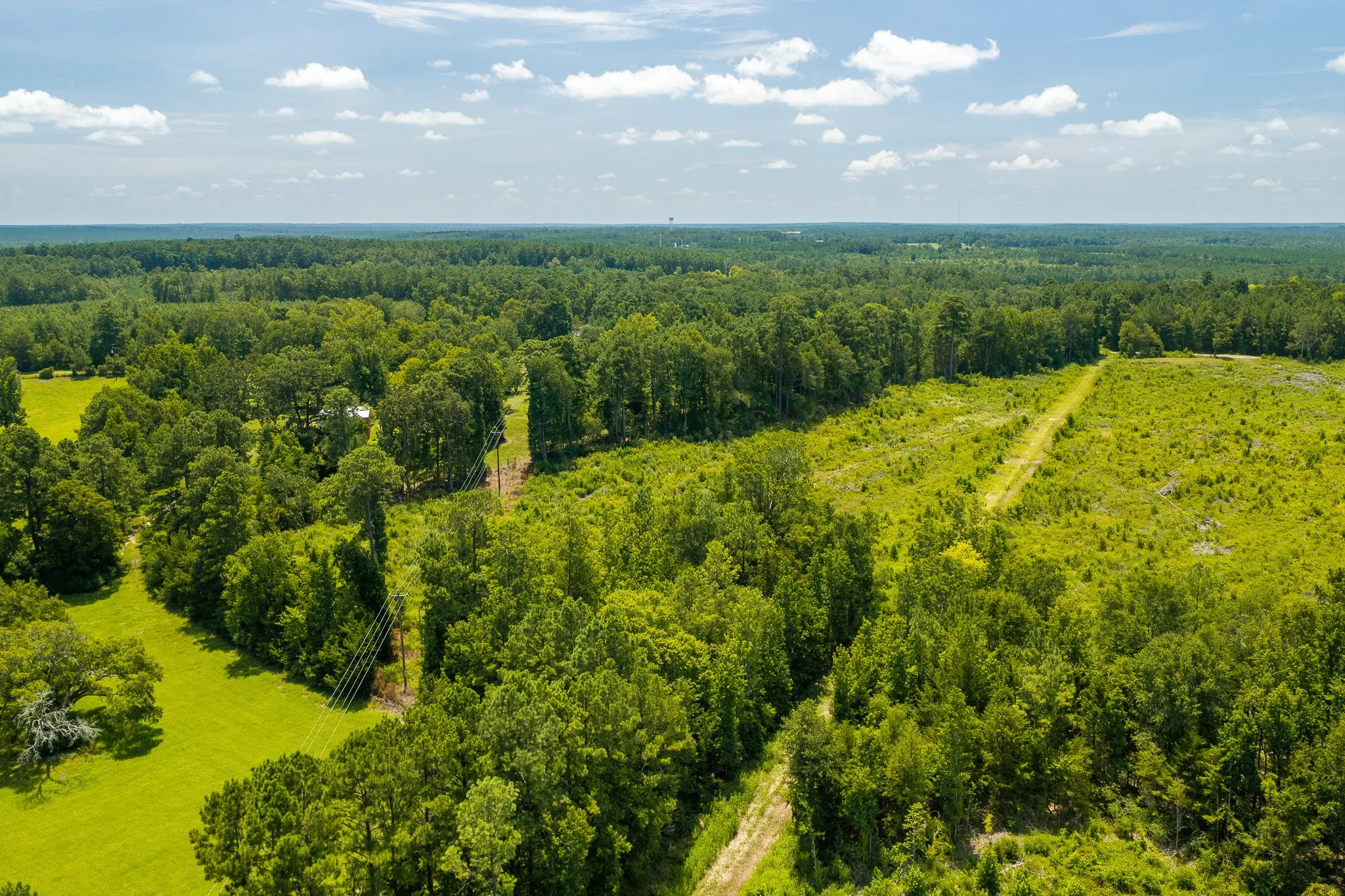 woodville-15.jpg