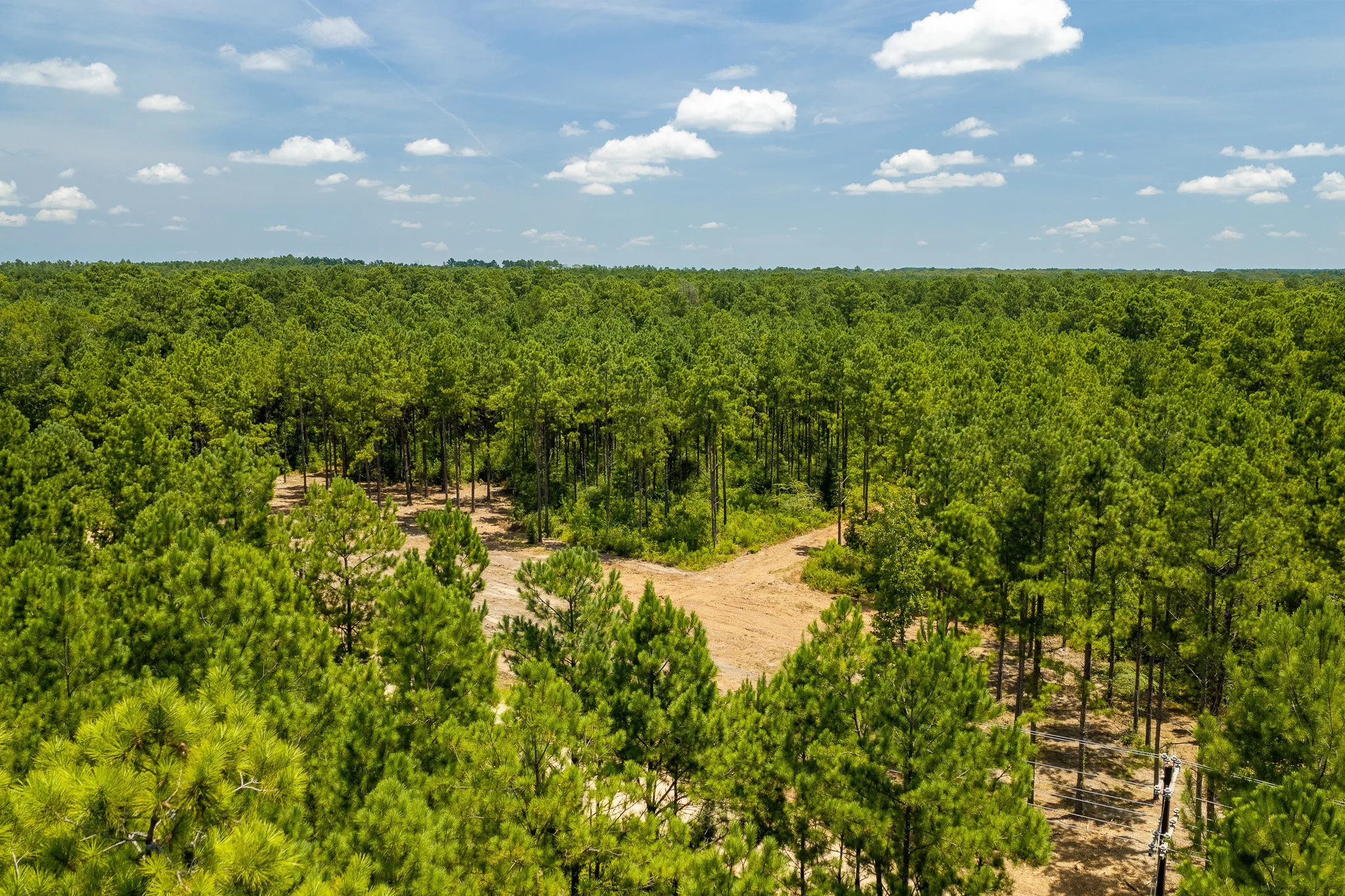 woodville-36.jpg
