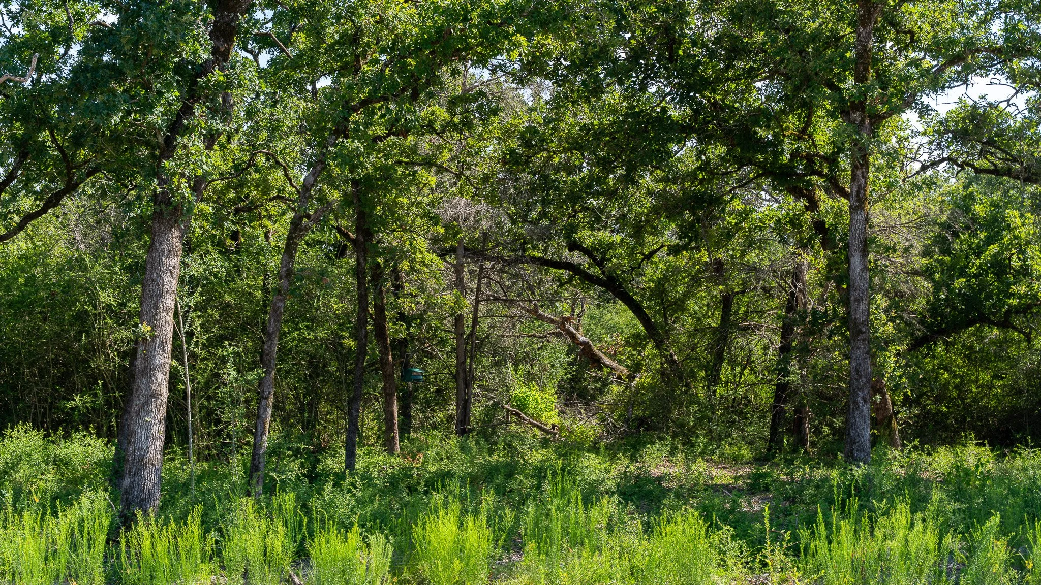 landscape-crestwood-29.jpg