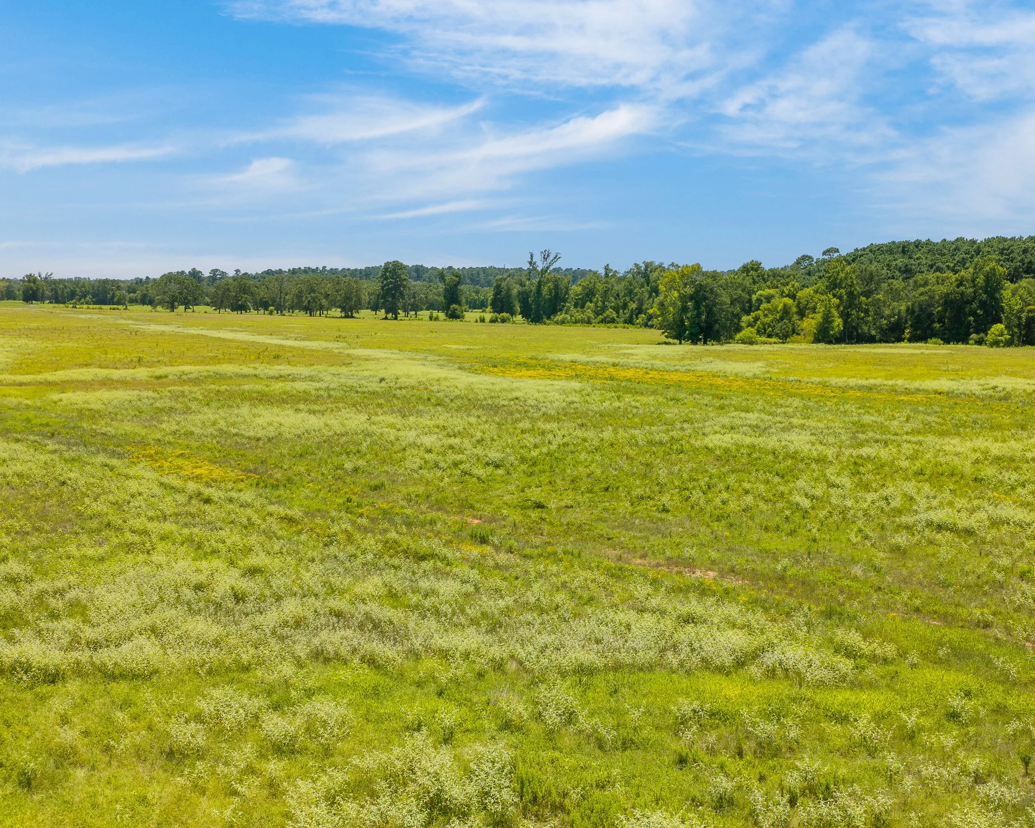 portrait-ratio-aerial-level--18.jpg