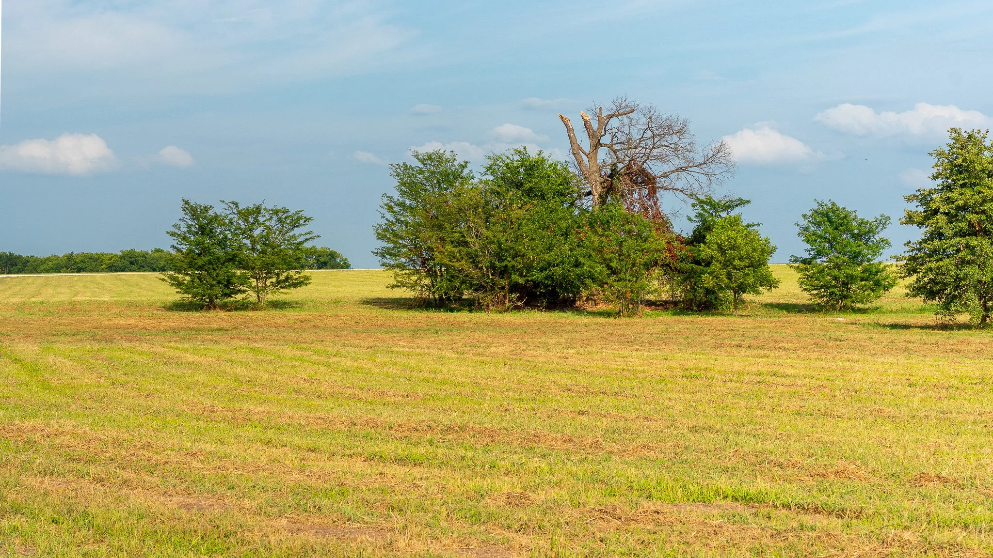 landscape-ground-summerdale-.jpg