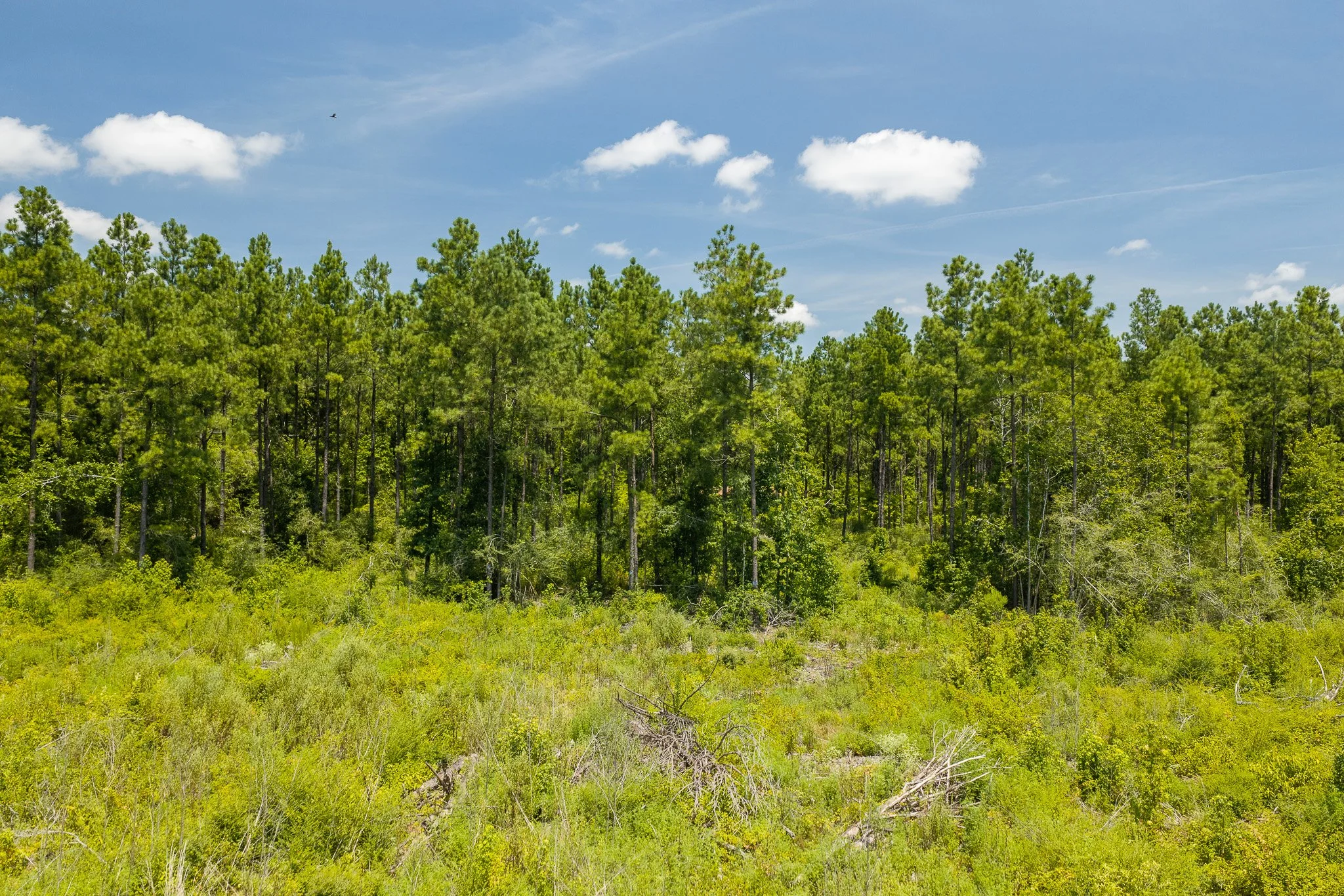 woodville-24.jpg