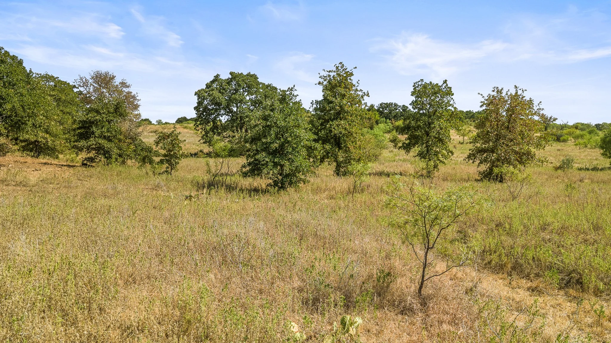 DJI_20260828154916_0341_D-Landscape.jpg