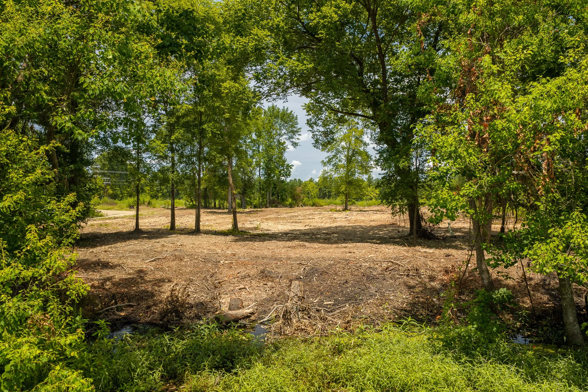 woodville-56.jpg