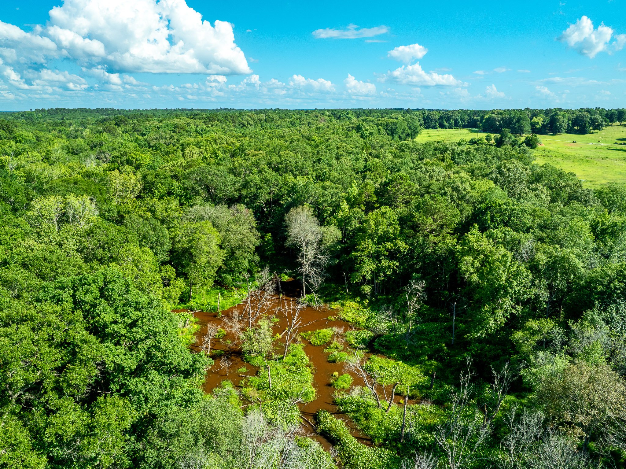 Tatum_Drone-12.jpg