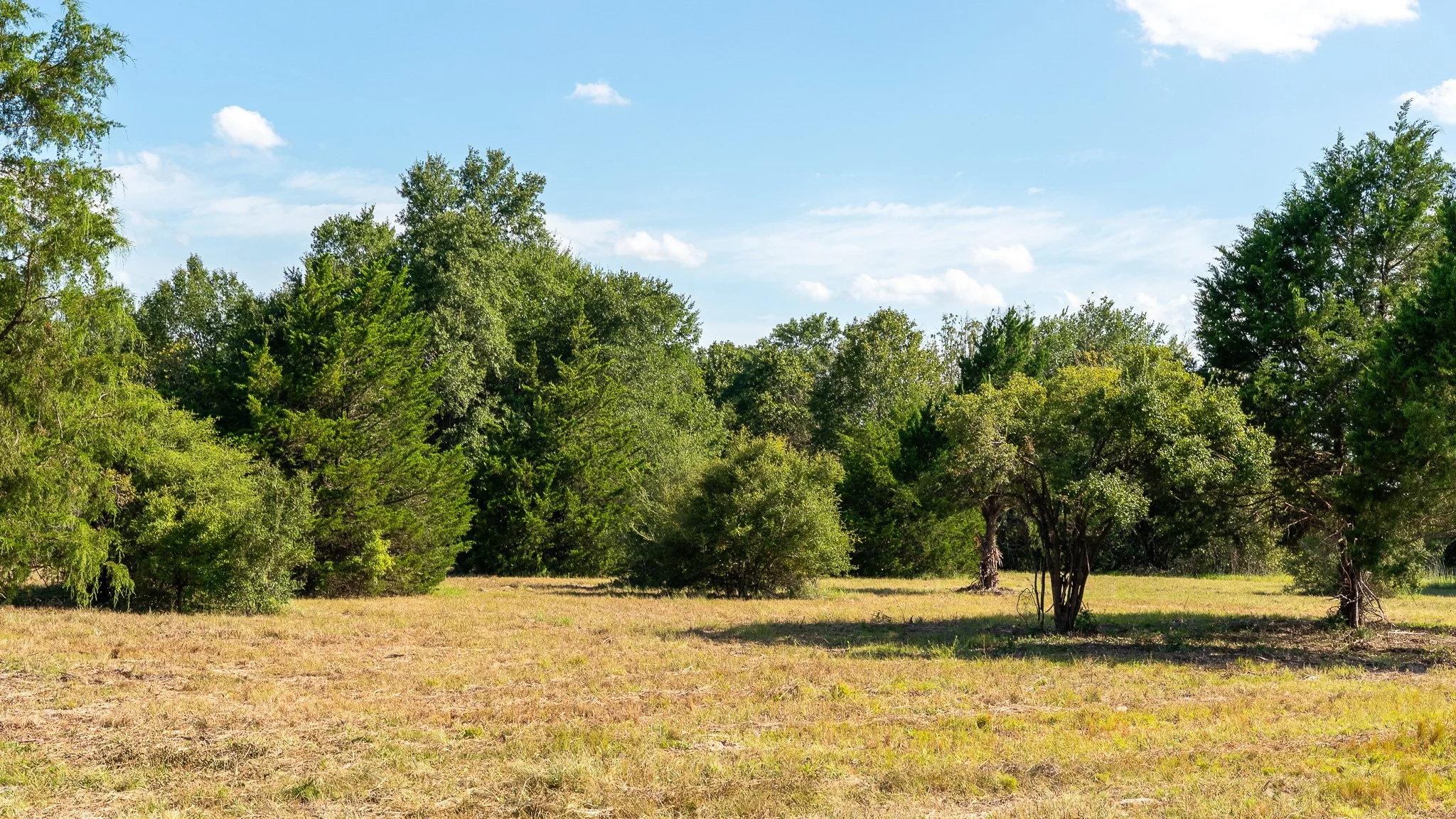 landscape-crestwood-52.jpg
