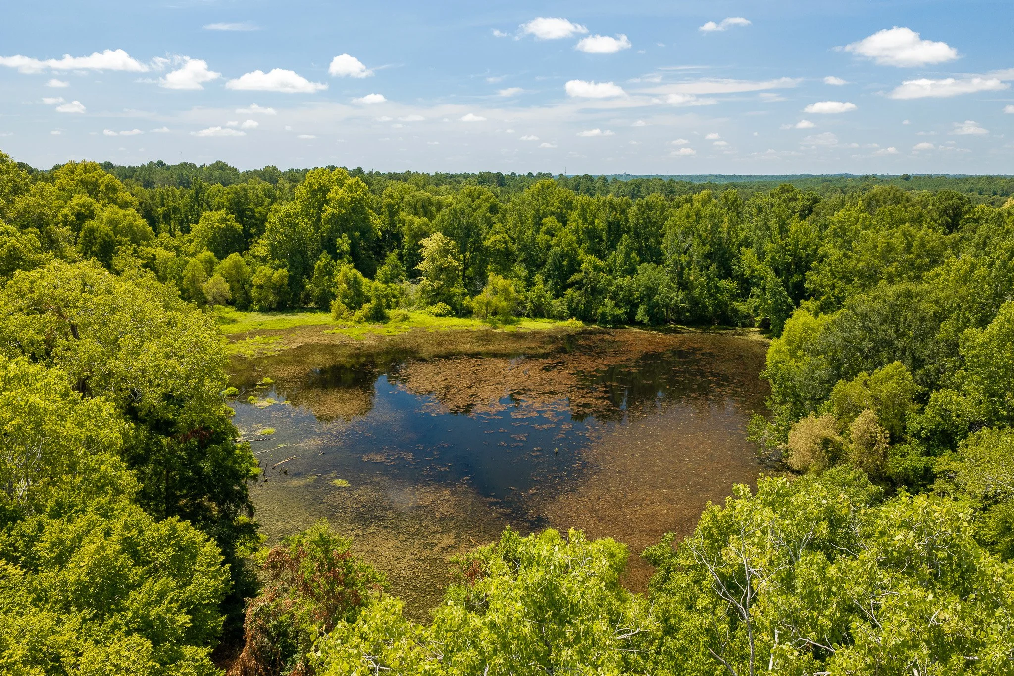 woodville-3.jpg