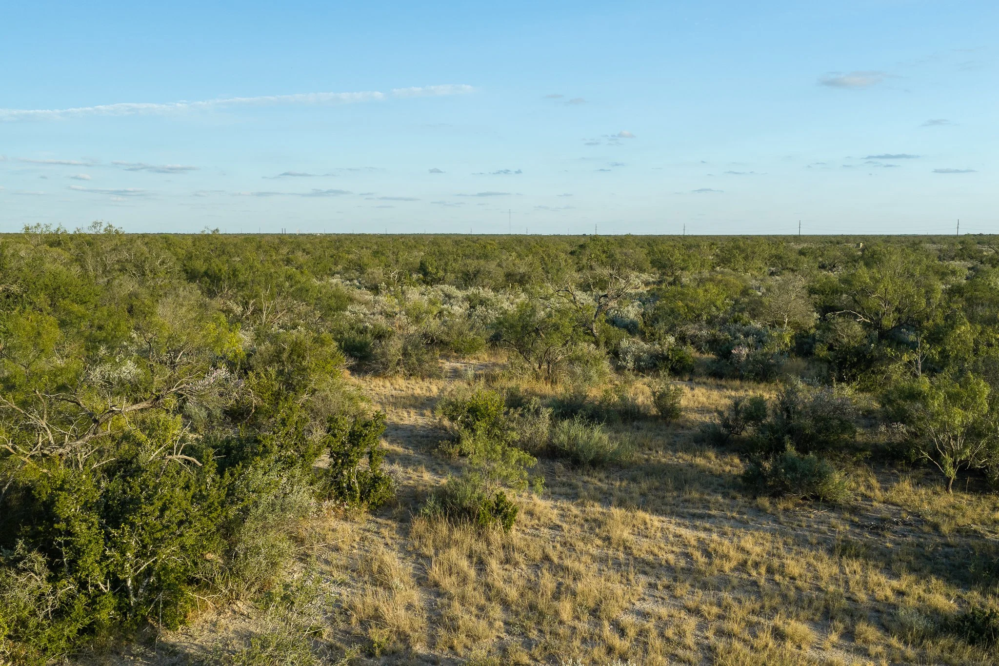 Blue_Rooster_Ranch-54.jpg