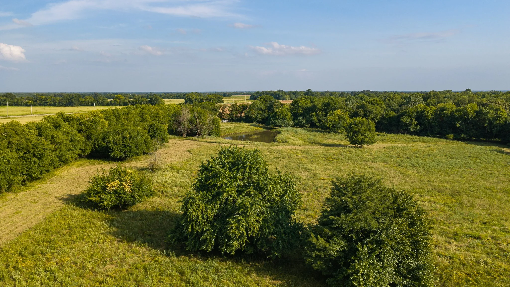 landscape-aerial-summerdale--26.jpg