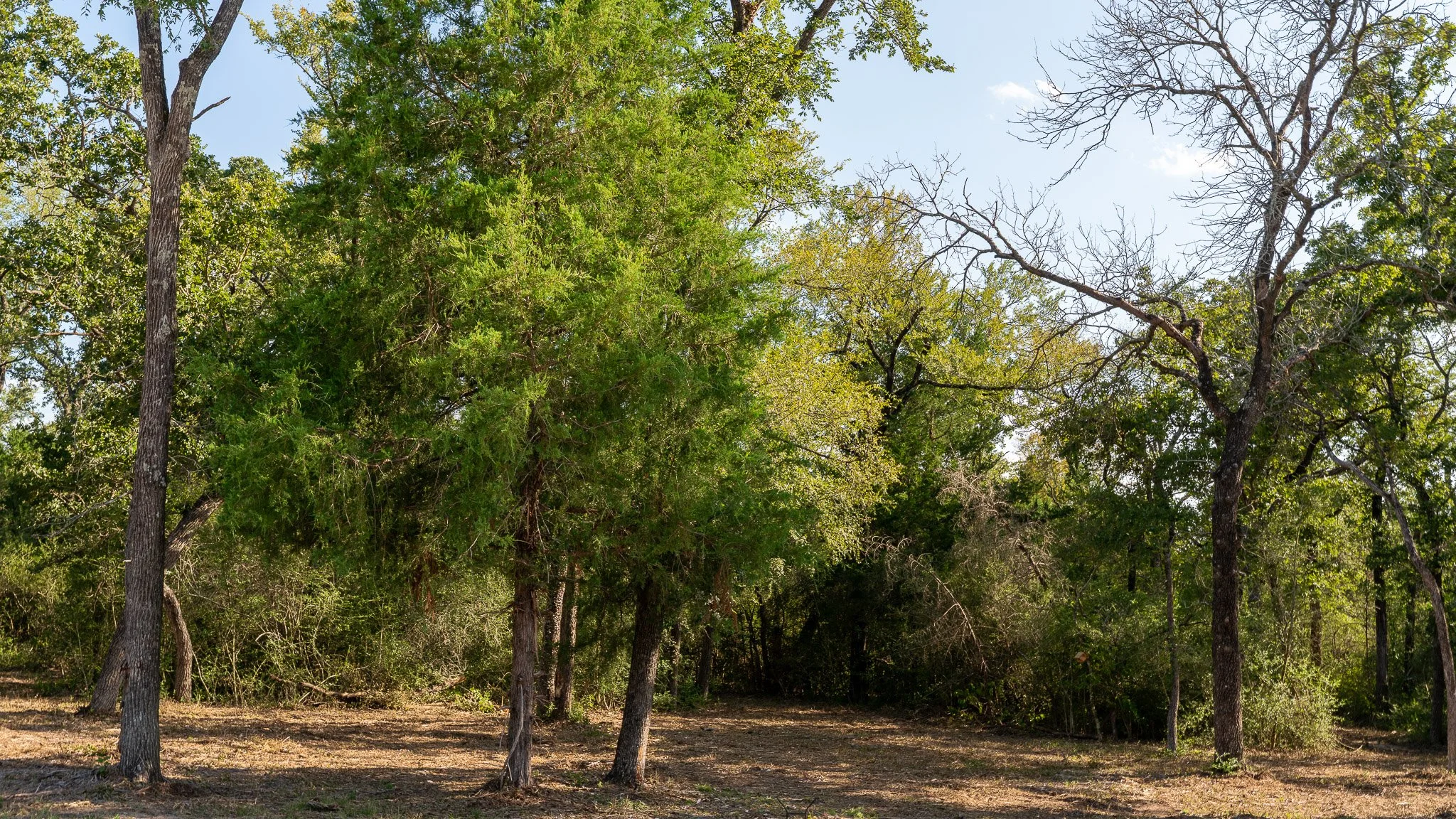 landscape-crestwood-73.jpg