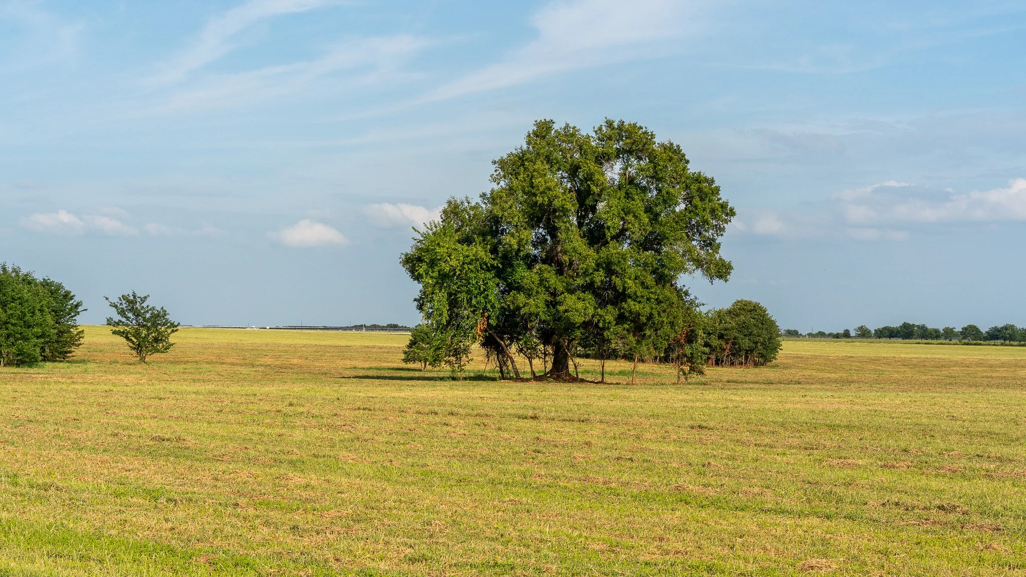 landscape-ground-summerdale-03007.jpg