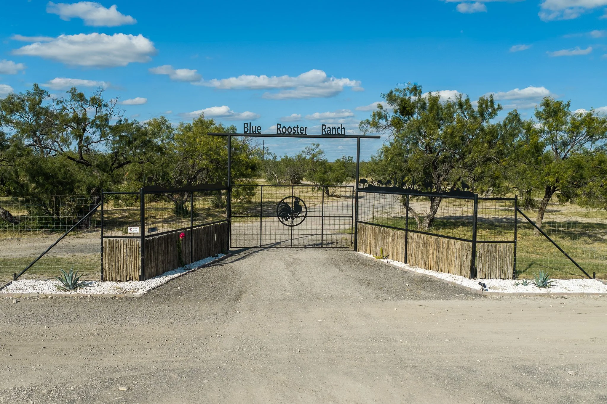 Blue_Rooster_Ranch-29.jpg