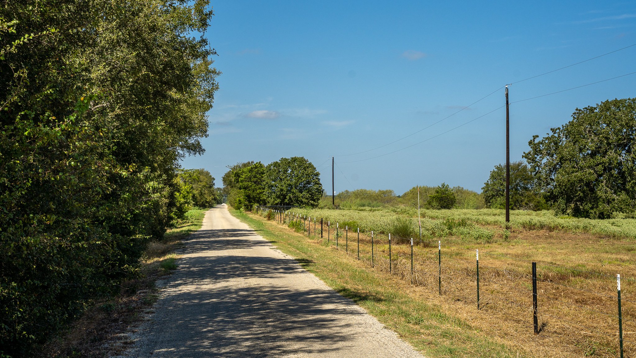 landscape-smithville-39.jpg