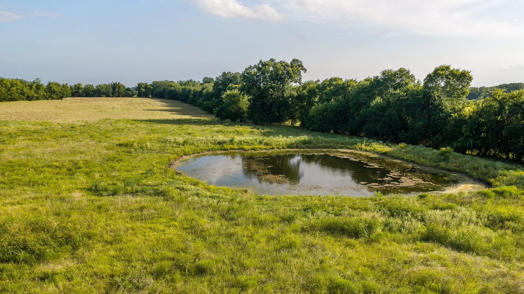 landscape-aerial-summerdale--36.jpg