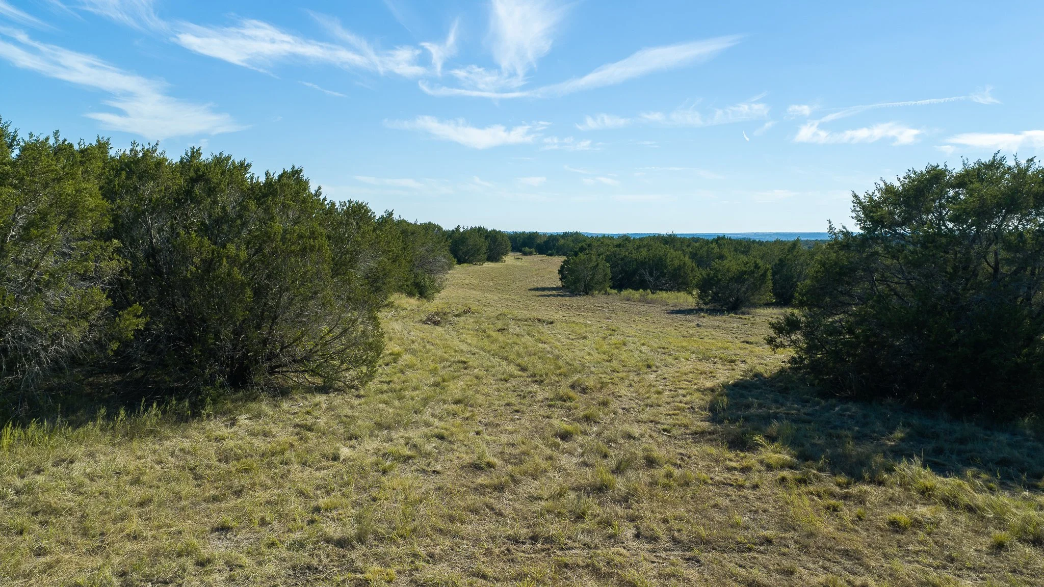 landscape-hamilton-28.jpg