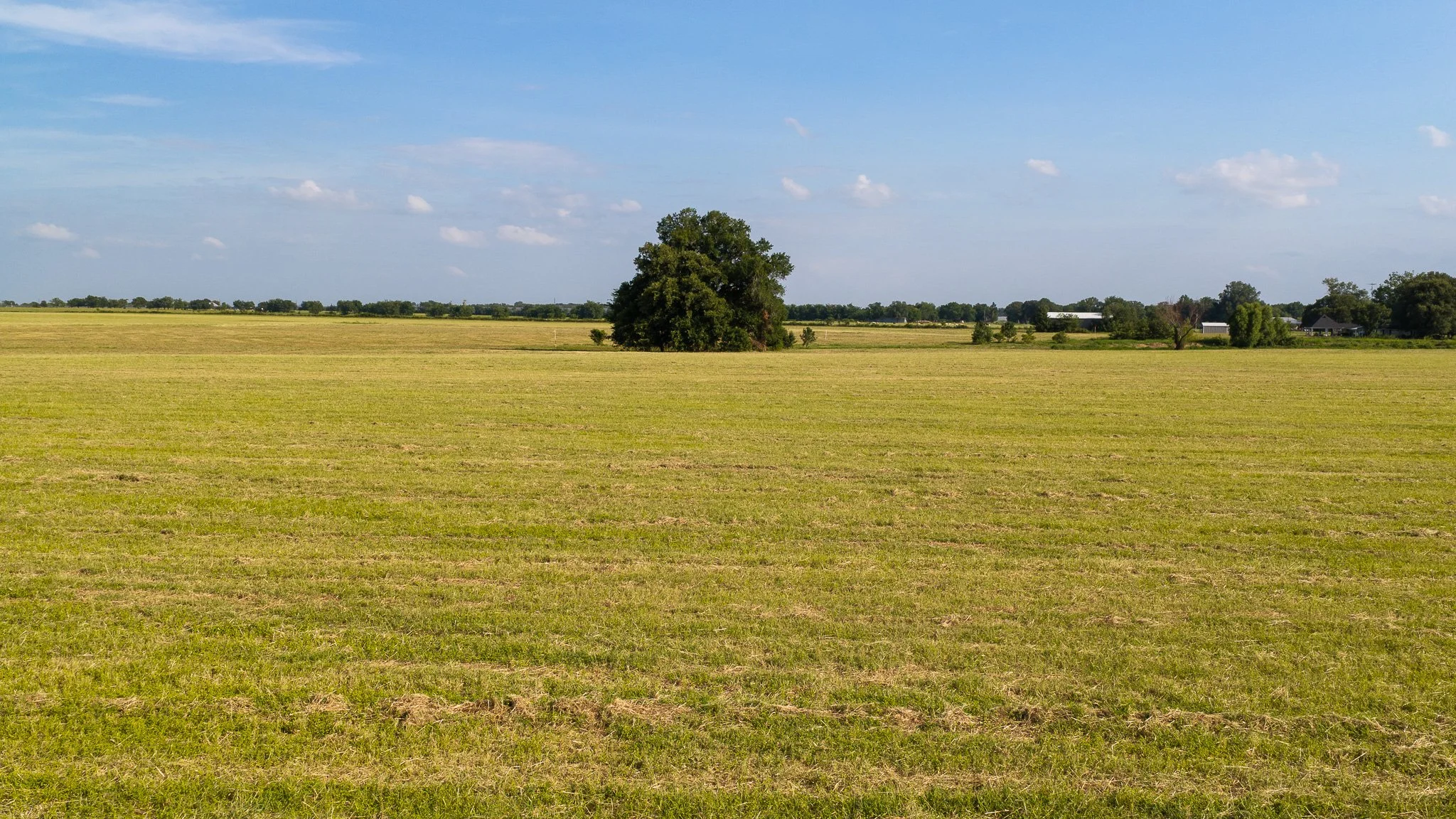 landscape-aerial-summerdale--3.jpg