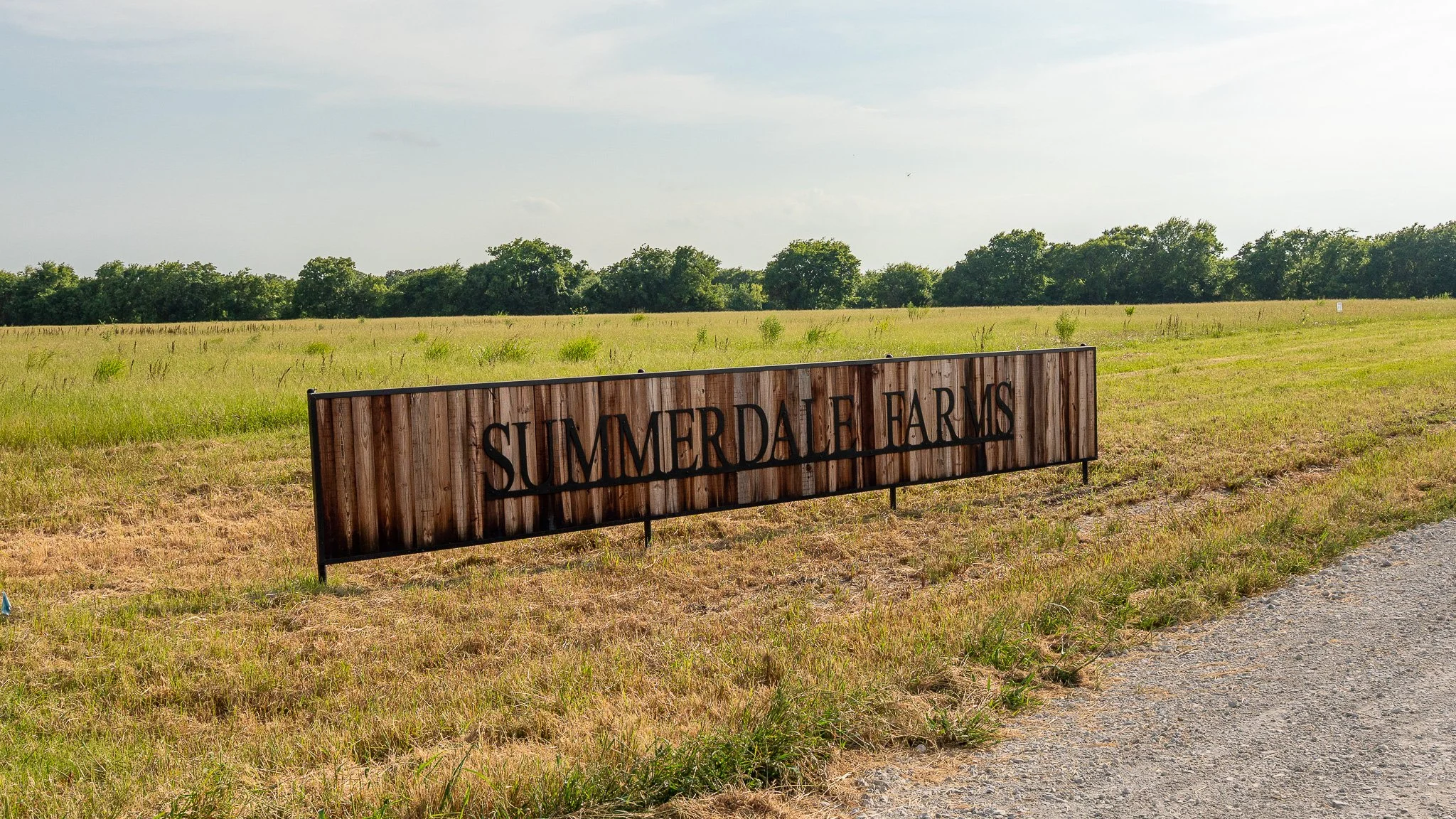 landscape-ground-summerdale--3.jpg