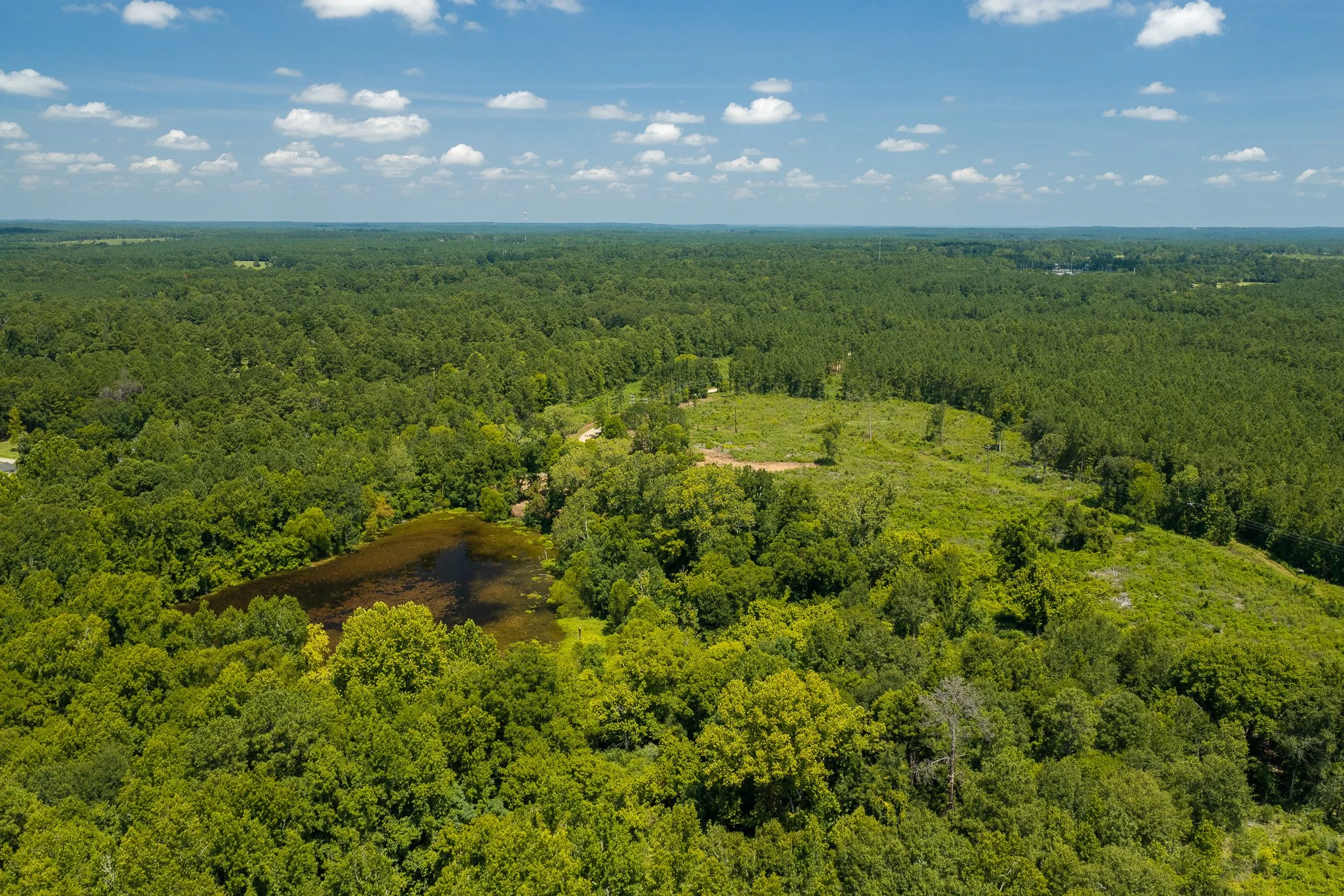 woodville-6.jpg