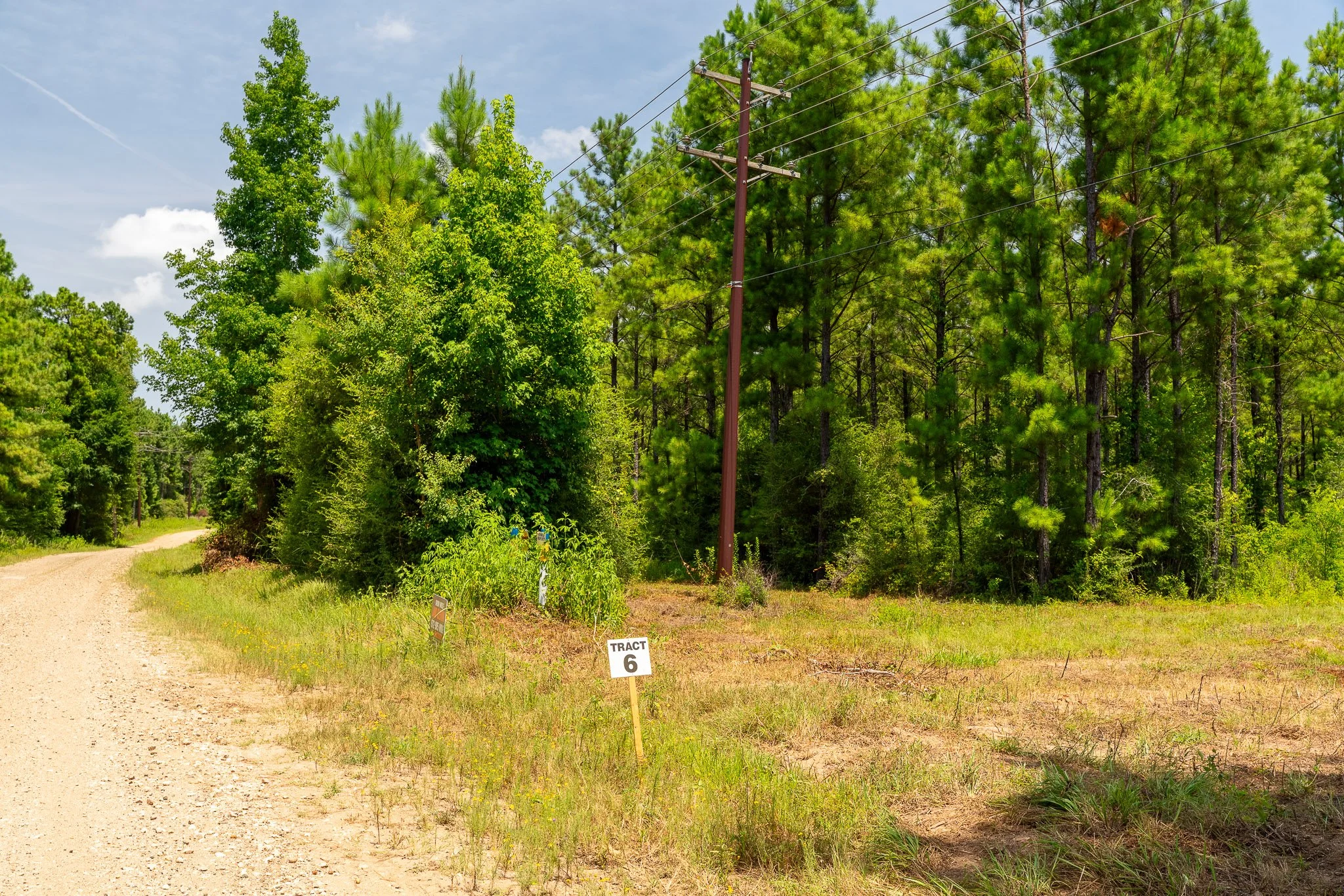woodville-77.jpg