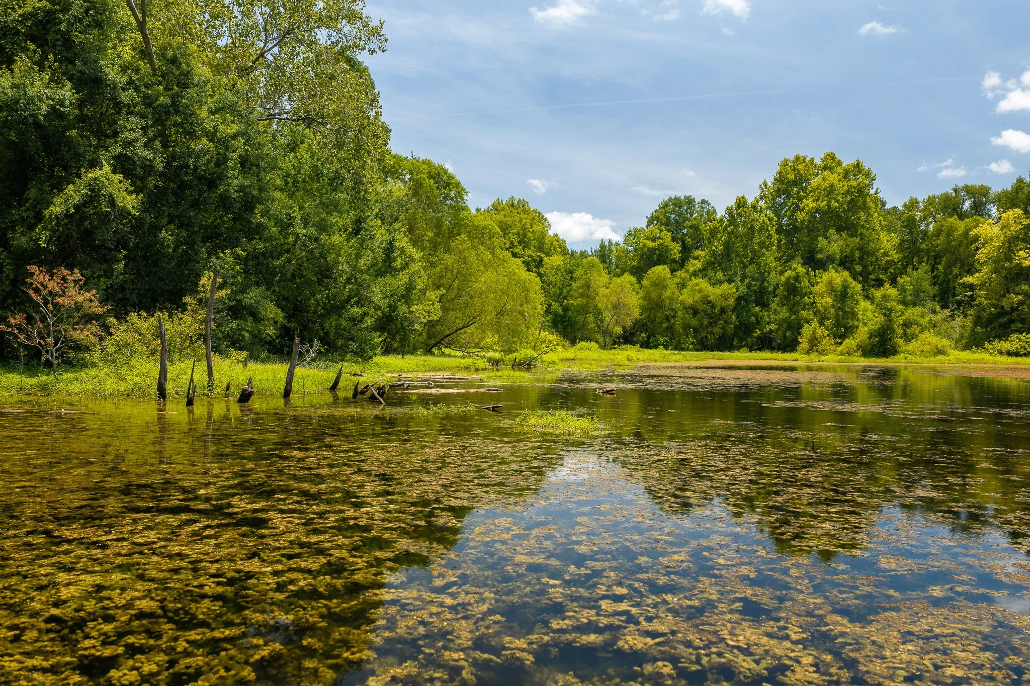 woodville-54.jpg