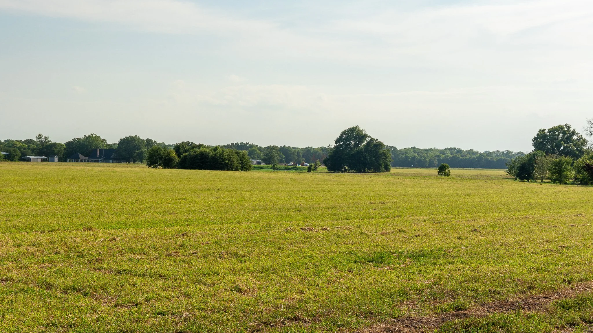 landscape-ground-summerdale-03036.jpg