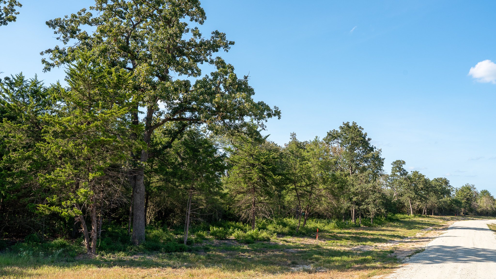 landscape-crestwood-76.jpg