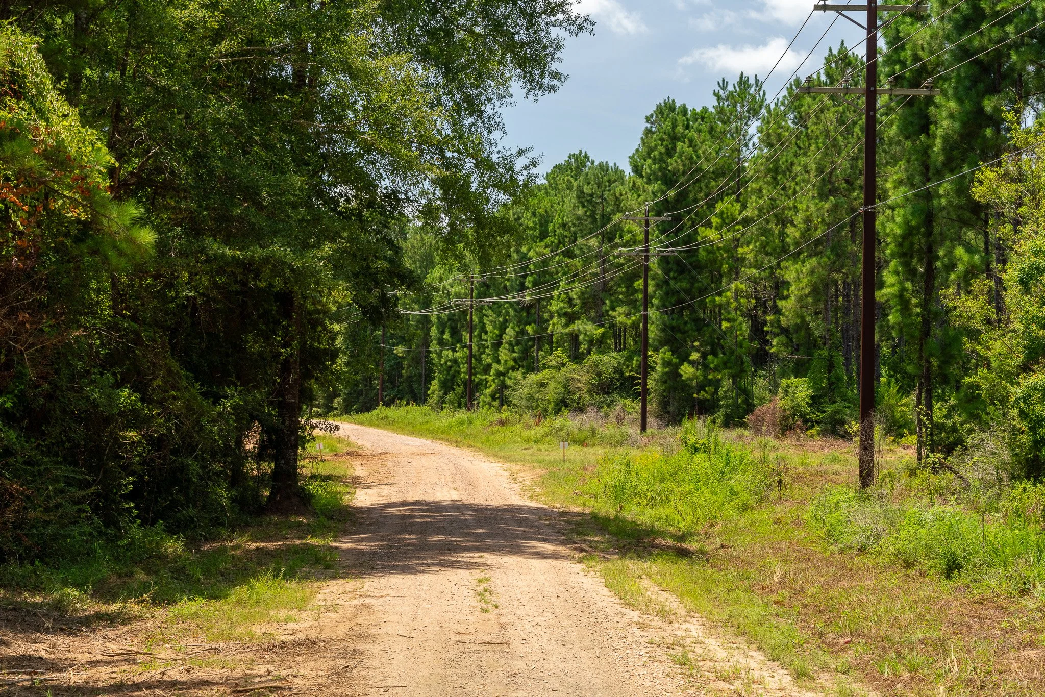 woodville-60.jpg