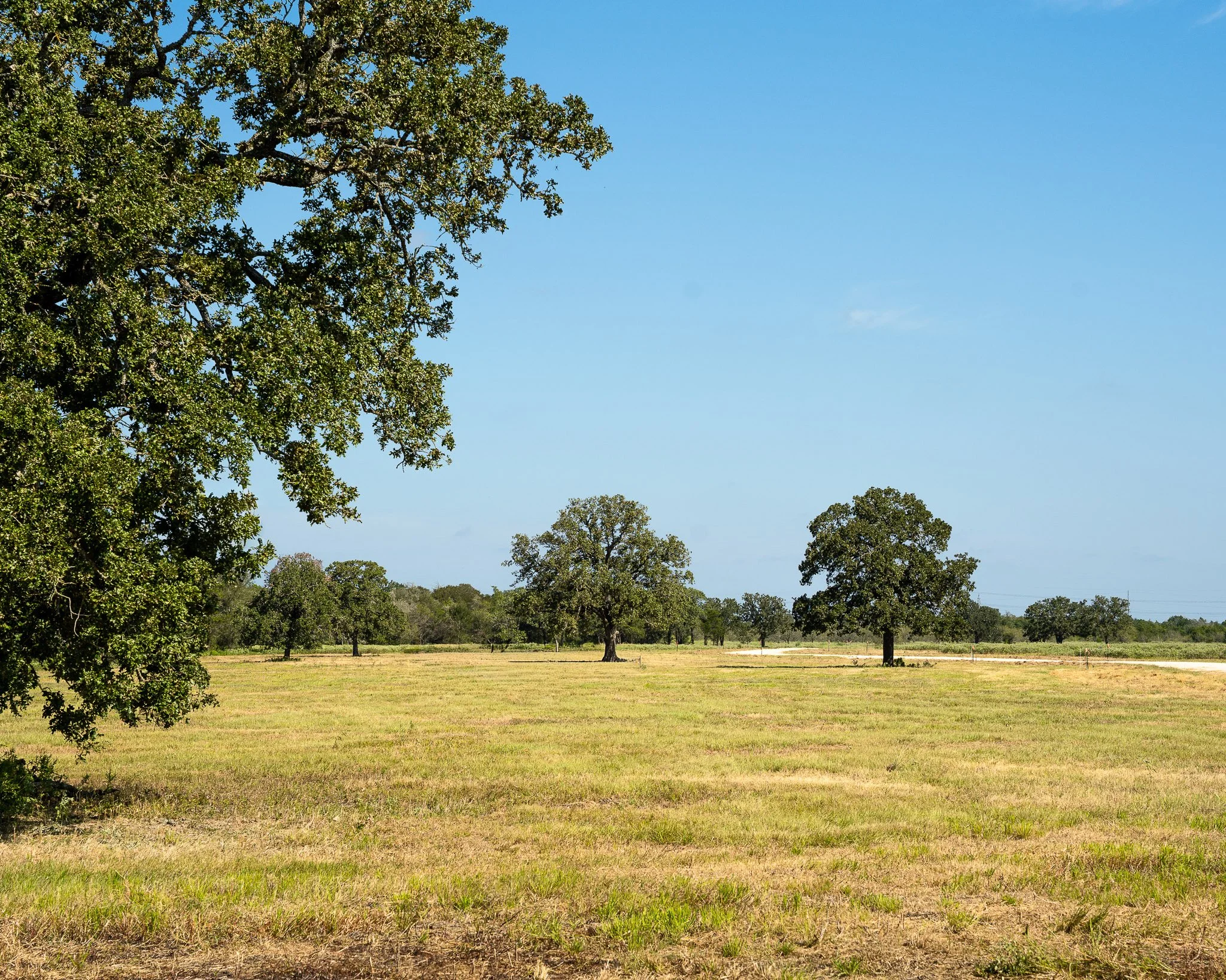 portrait-smithville-37.jpg