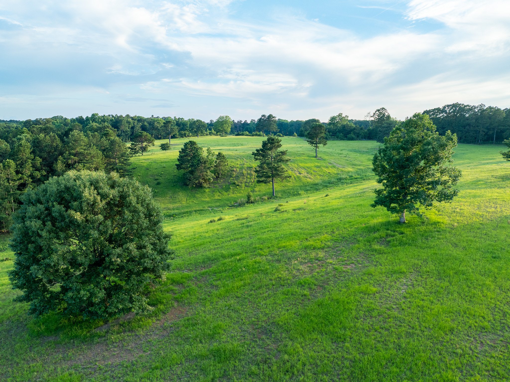 Sexton-Drone-48.jpg