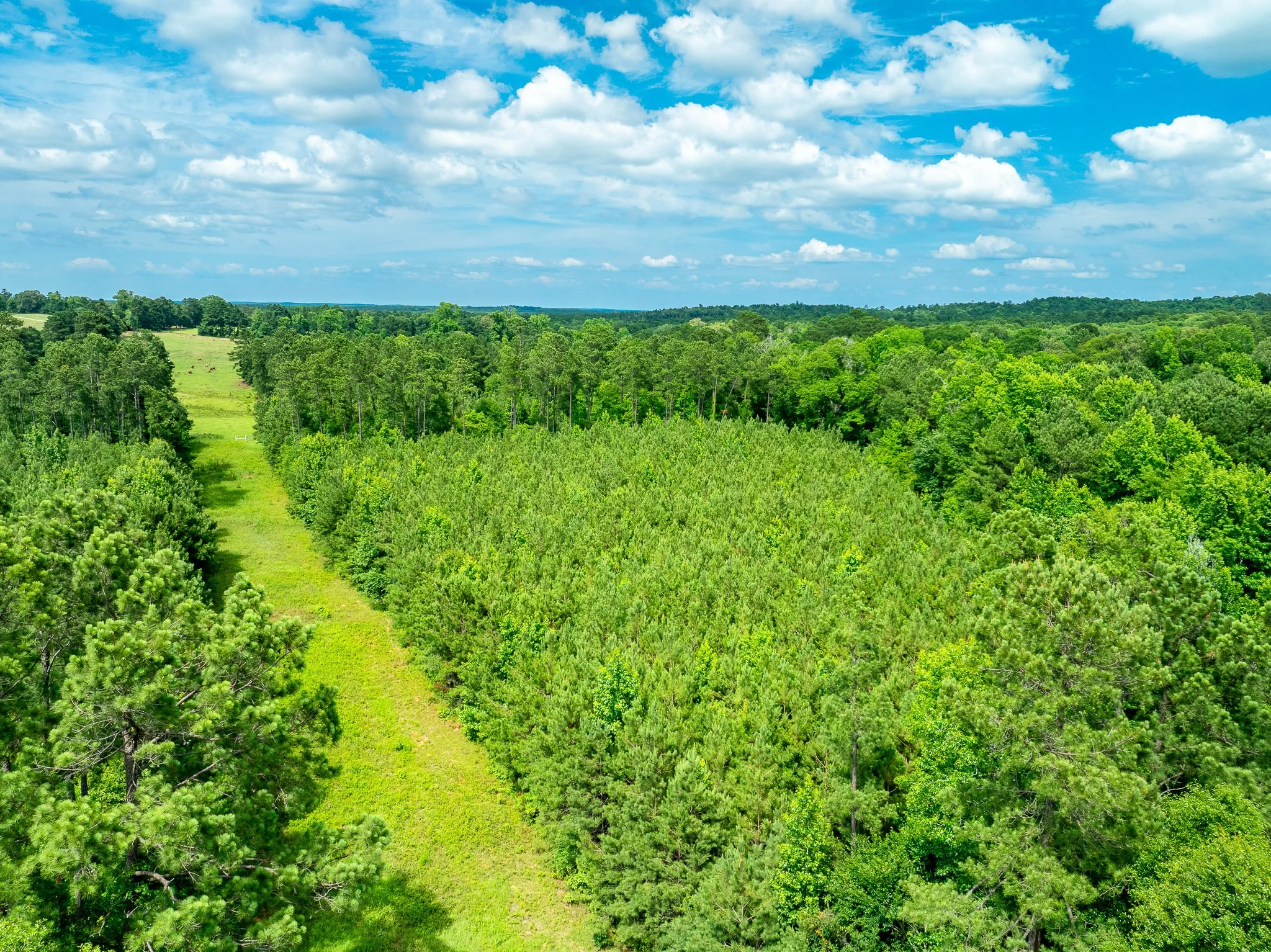 Sexton-Drone-19.jpg